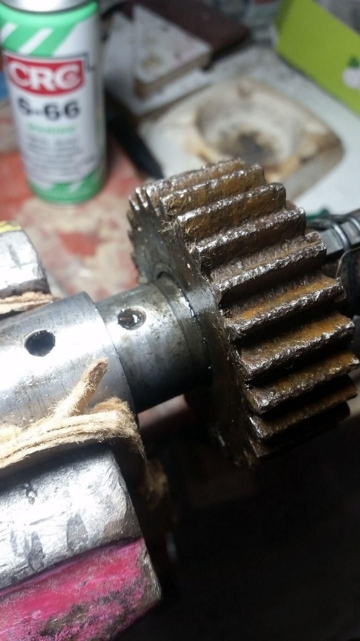 Mannaggia avevo dimenticato la foto!