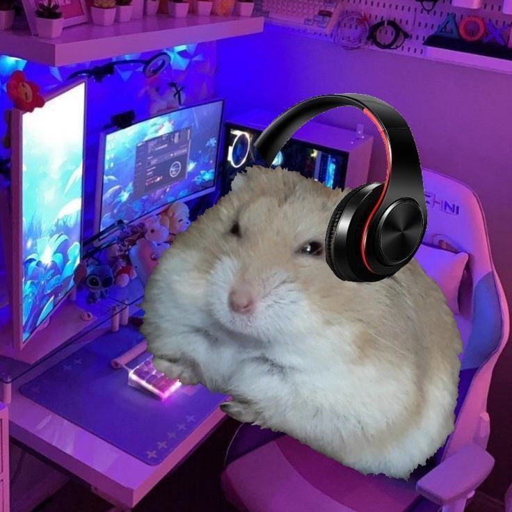 Small desktop setup with two monitors and pink backlighting. Photoshopped hamster with headphones is superimposed into the foreground like it is sat at the computer.

via: pin/Maria_Alice.24