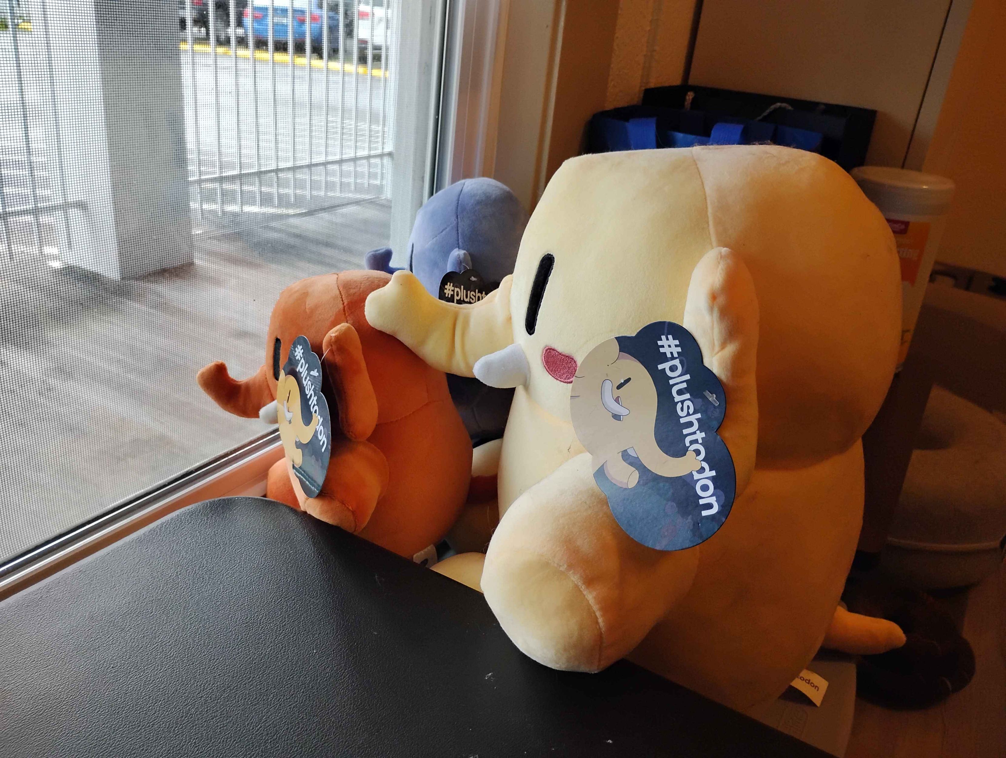 Side view image of the 3 different types of Plushtodon plushies staring out the window as some marketing ploy to get random passersby a possible glimpse into the Mastodon social media world.