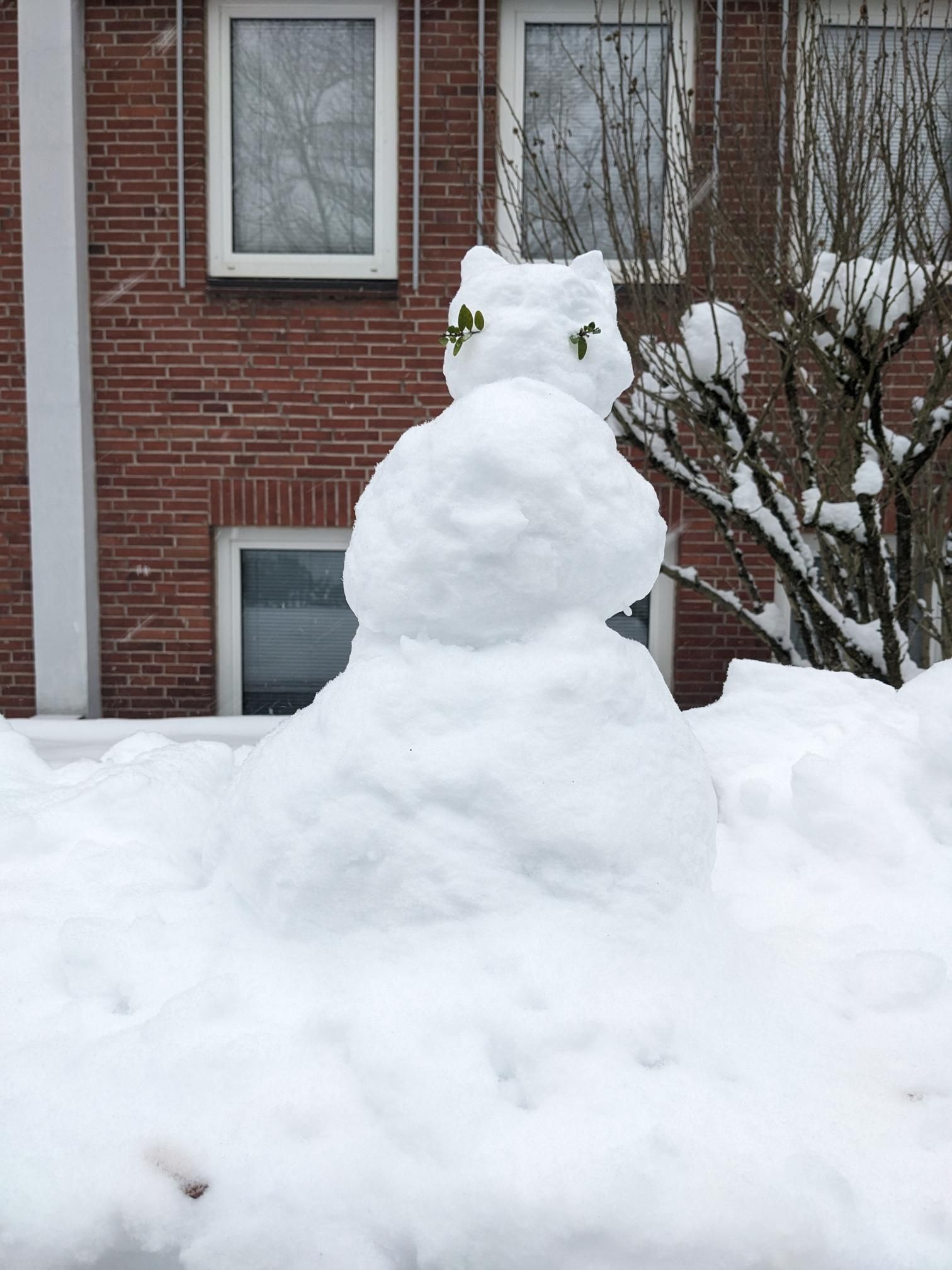 All photos show creatures built from snow. Some look like cats, or monsters!
