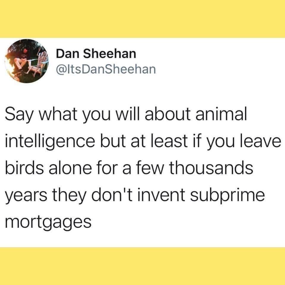 Dan Sheehan

@ItsDanSheehan

Say what you will about animal
intelligence but at least if you leave
birds alone for a few thousands
years they don't invent subprime
mortgages
