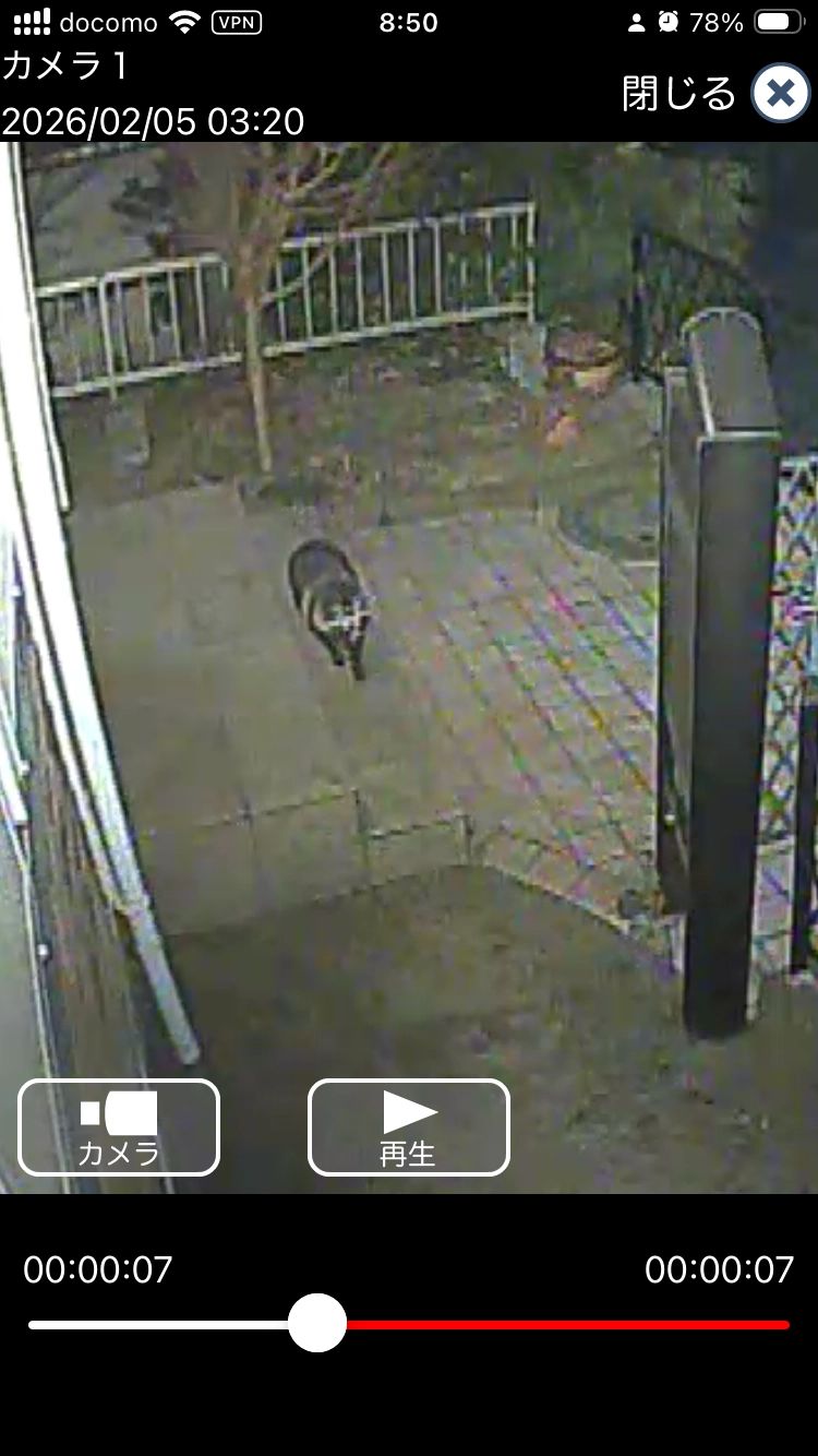 Caught something on our security camera in the wee hours of the morning! Looked like a raccoon or a tanuki crossing right in front of our gate.