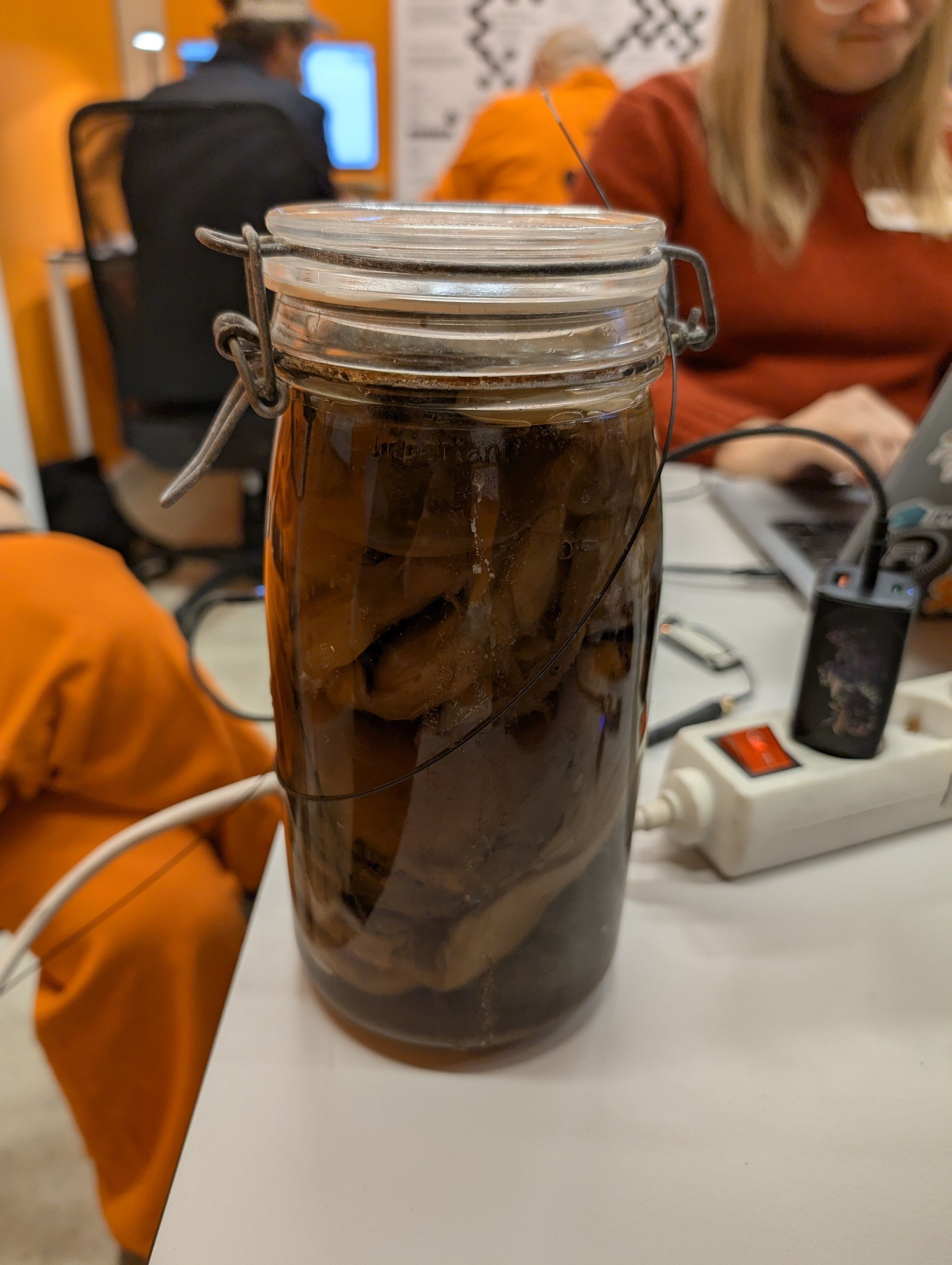A jar of Kombucha with a cable connecting cathode and anode inside it!