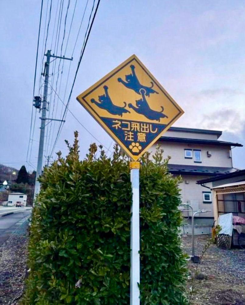 A yellow street sign in Japanese with three black flying through the sky. Below is text that says ネコ飛出し注意 (neko tobidashi chūi) Means “watch for cats darting out”