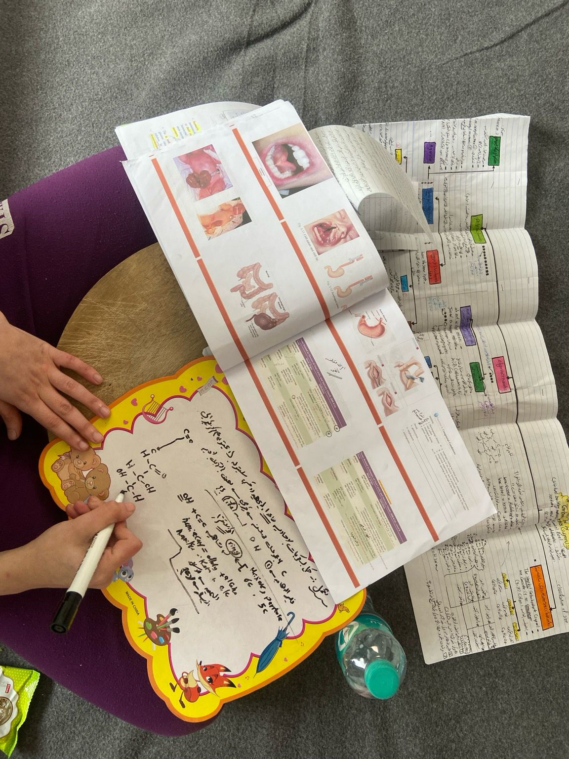 Alright my friends, it’s Friday—the day we all take a break from everything. However, I’ve noticed that my sister, Nour, never gets a day off. Given her circumstances and the demands of medical school, she is studying 24/7, tirelessly and without complaint. She looks up to me because I’m older, but the truth is, her persistence in chasing her dreams despite the odds is what truly inspires me. Nour is about to start a new semester soon and needs your support. I am reaching out to every single one of you for donations to help her continue her journey.