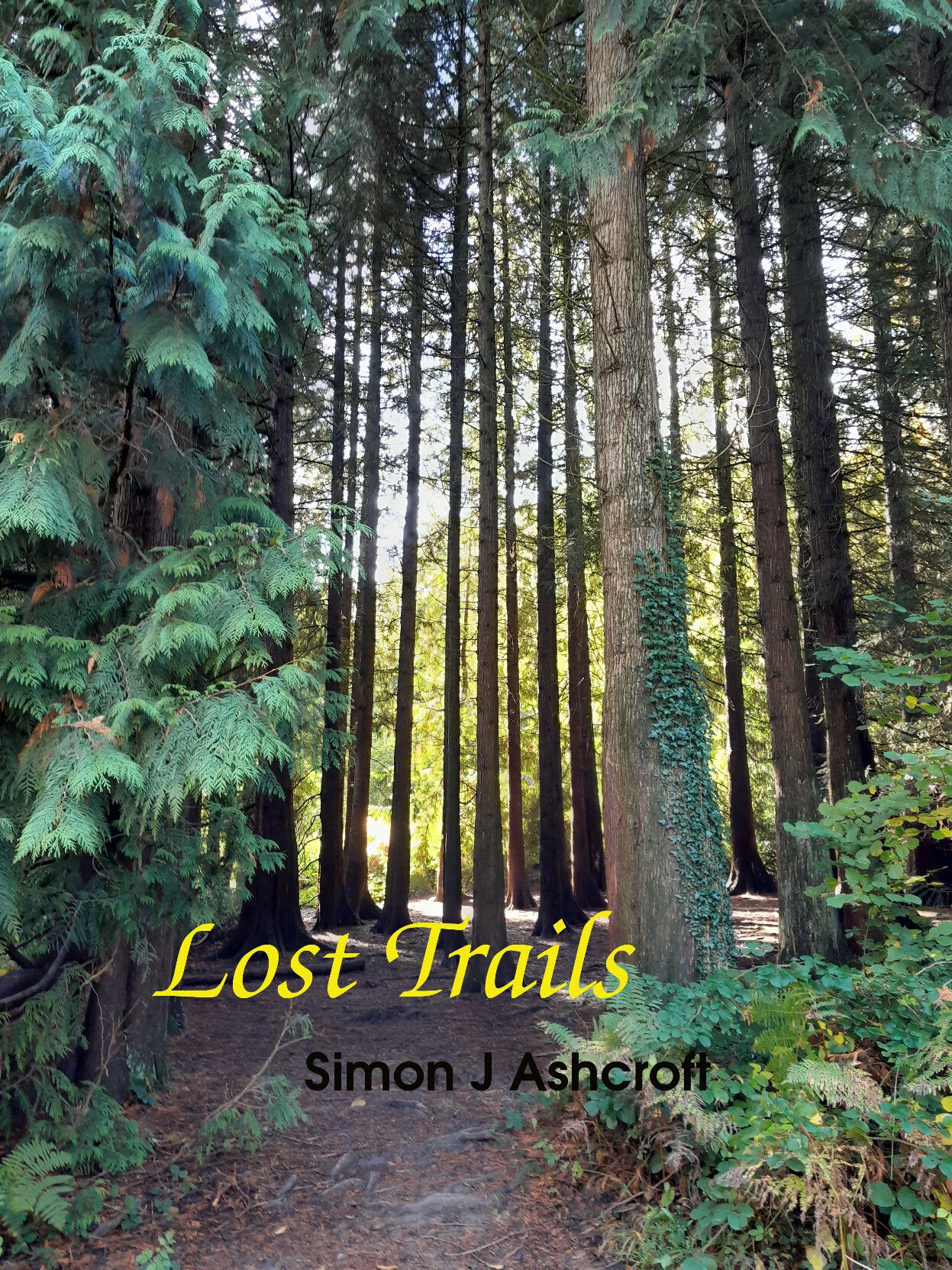 Front cover of Lost Trails, Simon J Ashcroft, showing an image of a pathway into woodland, with sunlit foliage in the distance seen through tree trunks