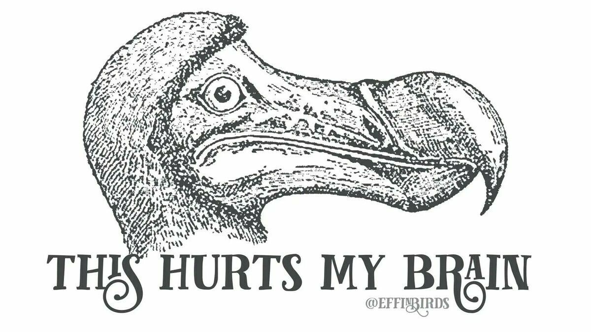 Effin Birdsin meemi, jossa suurinokkaisen linnun, en tiedä mikä linnun, pahoittelut, pää profiilikuvana.

Pään alla teksti THIS HURTS MY BRAIN