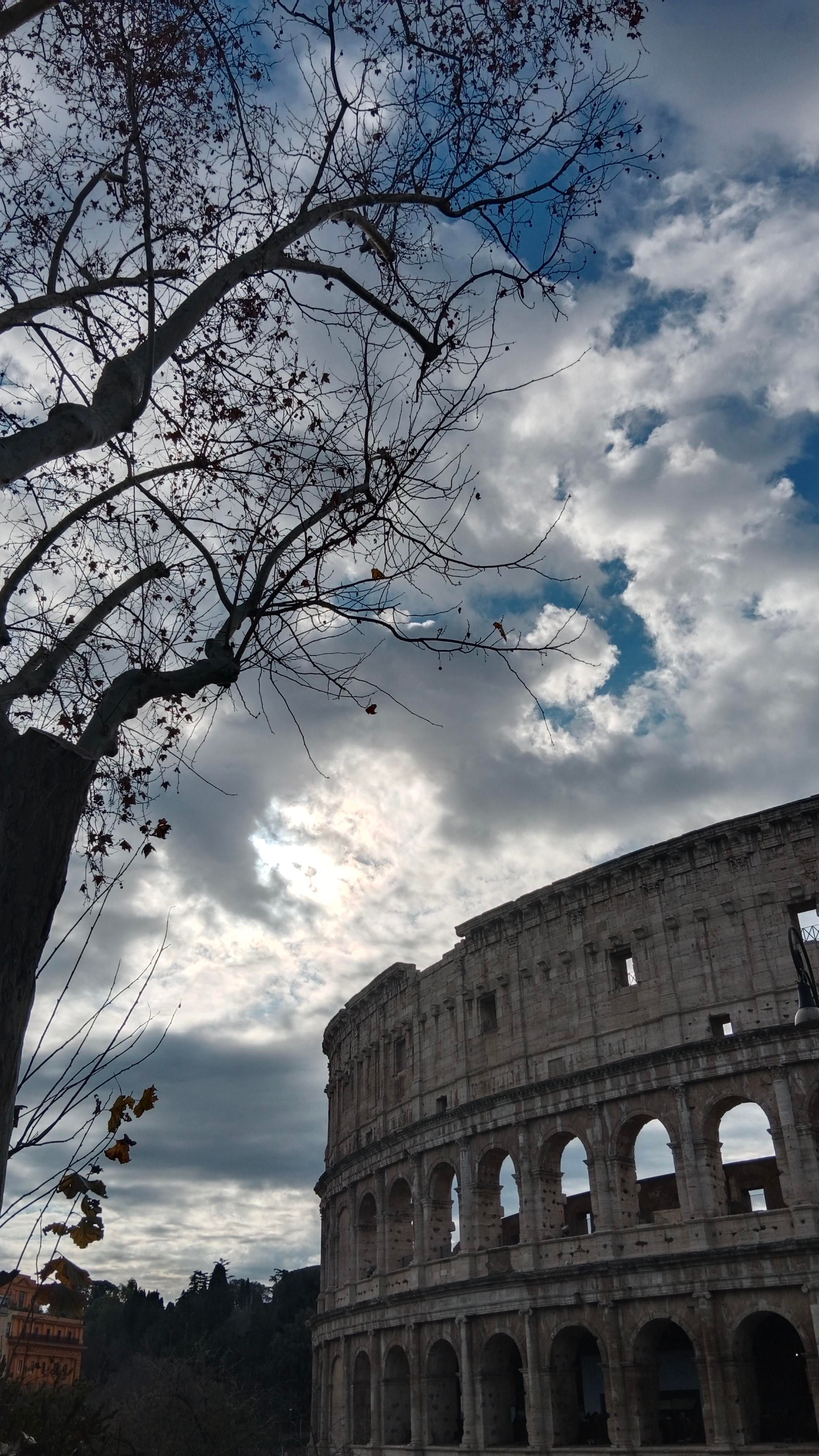 La mia vita, facendomi forza con la bellezza