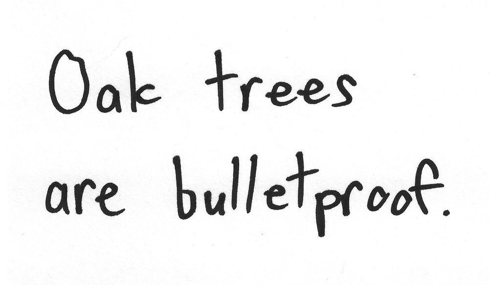 Oak trees
are bulletproof.