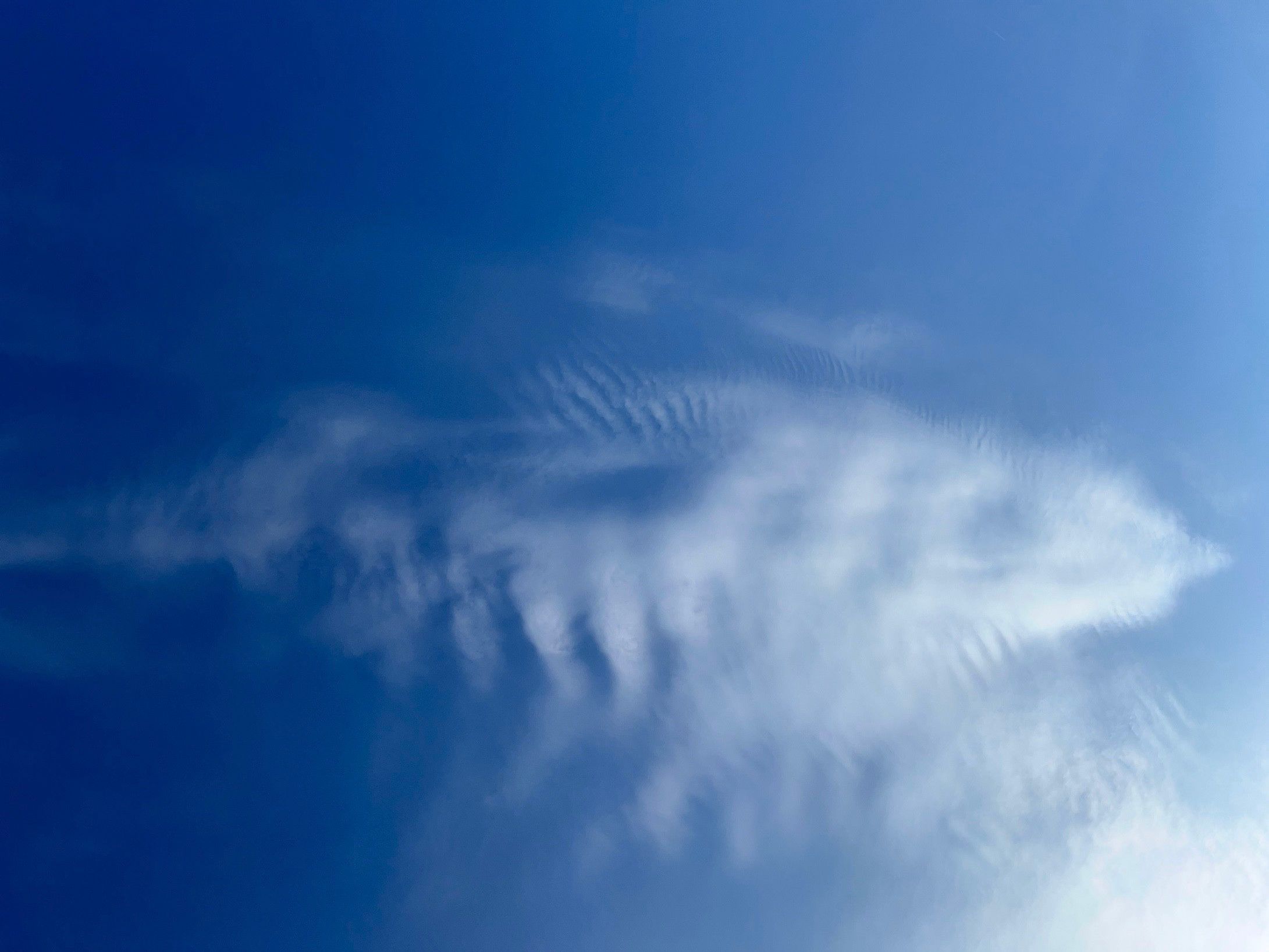 Photo of a dead fish in the sky clouds

Story continued 

Back to photo

So there’s apparently a bunch of 
 red tail hawks up here. 

The other day I got 5-6 on a live shot on my phone above me just circling. 

Photo:
So this shot is framed about 60-40 

60% green lush grass at a top of a cemetery with a couple trees in the left foreground and a couple tombstones. 

Slightly right of center in the sky section sits the sun adorned with various cloud formations that some look like strands of hair being brushed by the sky. 

I wish more people could simply marvel at this simple beauty. I am awestruck! Have a splendid day or weekend. 
Thank you for reading!
♾️🧬💜
