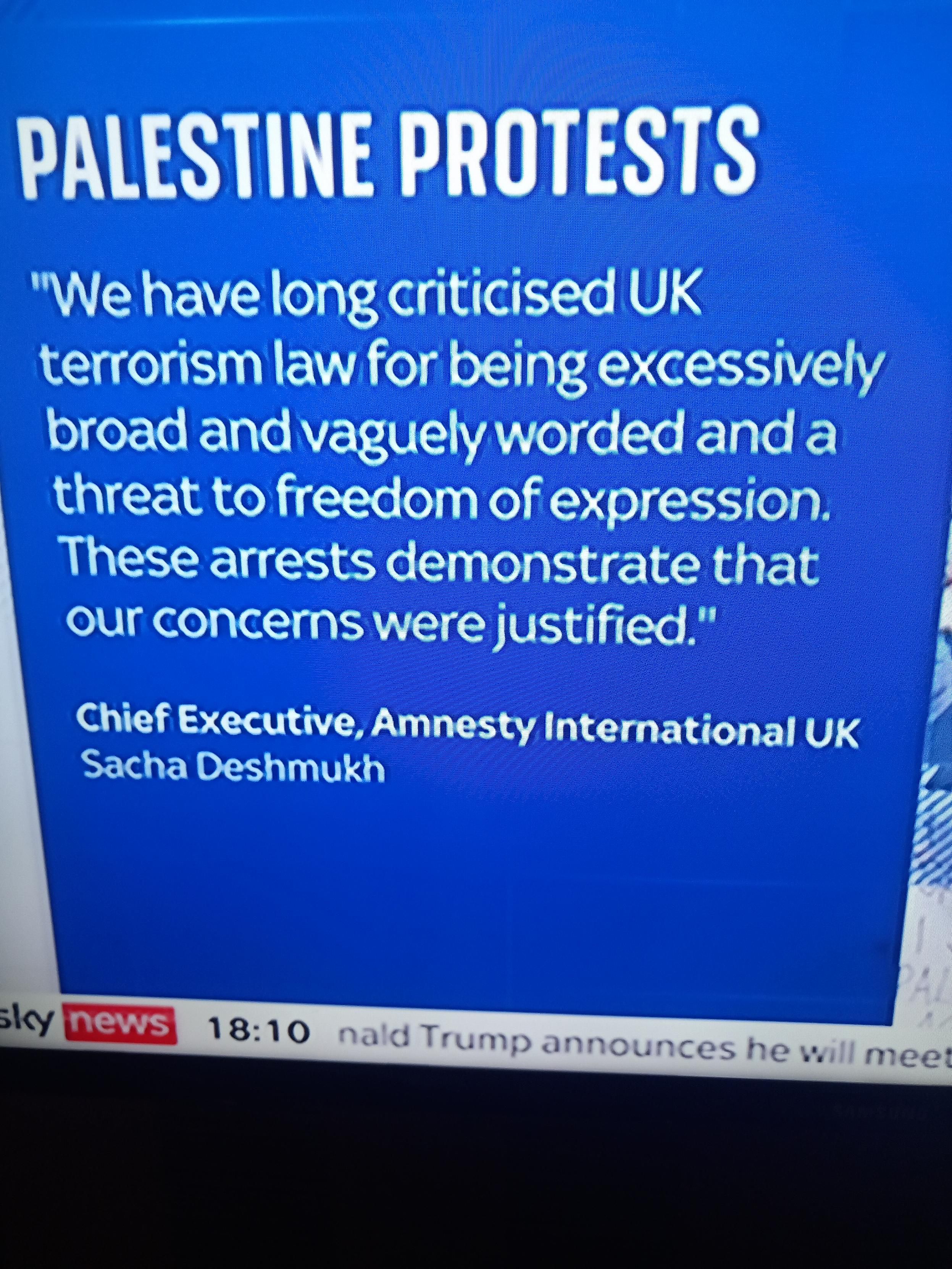 Amnesty International statement about Palestine Action 