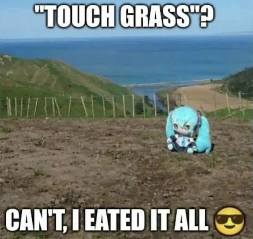 A Hatsune Miku plush is sitting in a dirt field, notably barren of any vegetation at all. 

"Touch grass"?
Can't, I eated it all 😎