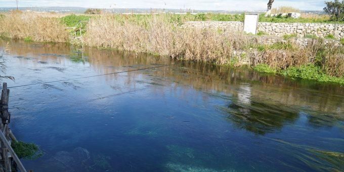 Immagine relativa all'articolo