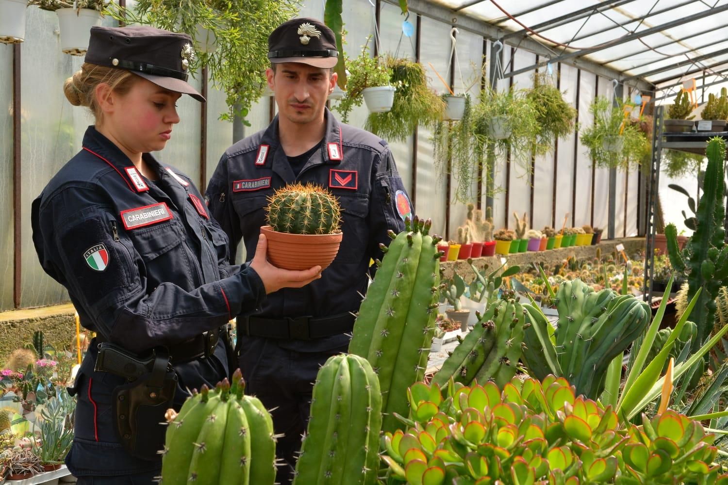 Carabinieri in posa con un cactus sequestrato.