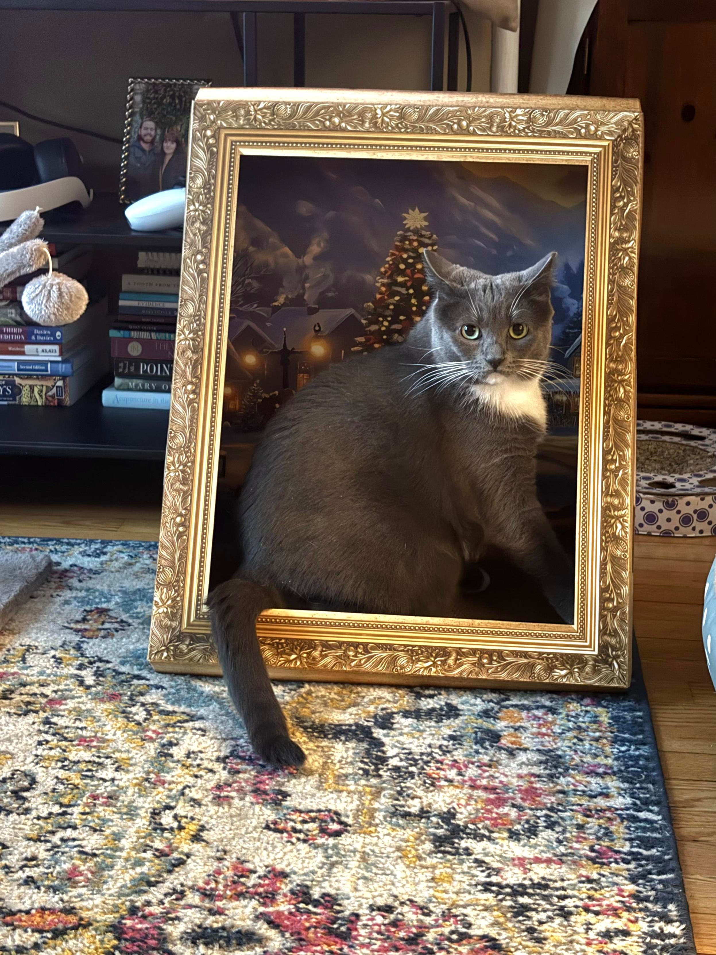 A gray and white tuxedo cat sits inside an empty, ornate gold picture frame that is propped up on a colorful patterned rug. The cat's tail drapes over the bottom edge of the frame, and a holiday-themed painting of a snowy village with a lit Christmas tree is visible in the background behind the cat, creating the illusion of a 3D portrait.
