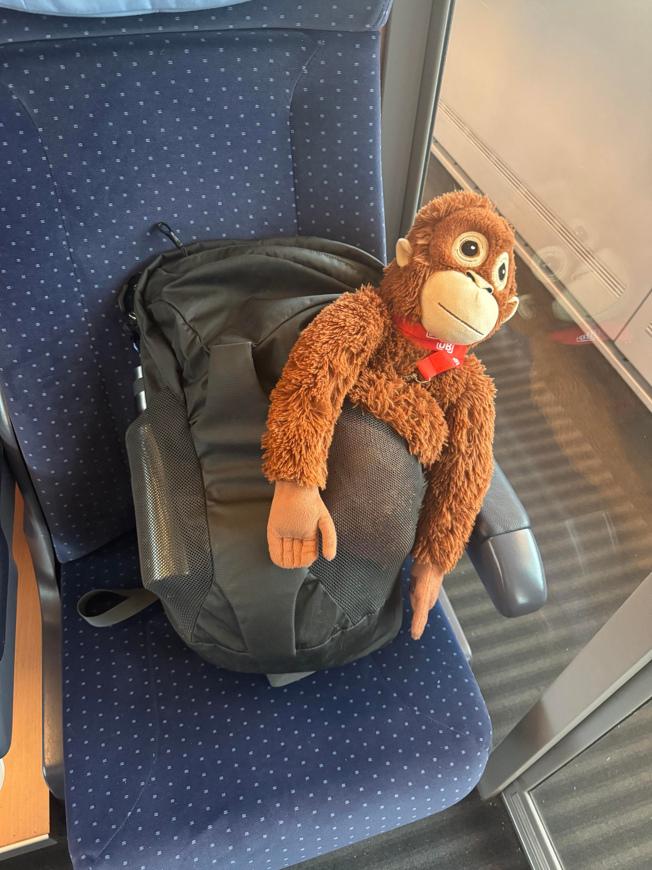 Wendy the DBJUNGLESKOG in their travel position in a pocket in my backpack.