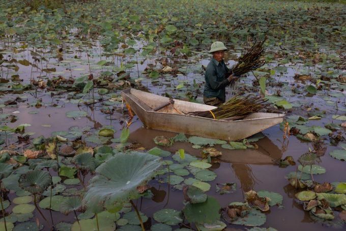 Immagine relativa all'articolo