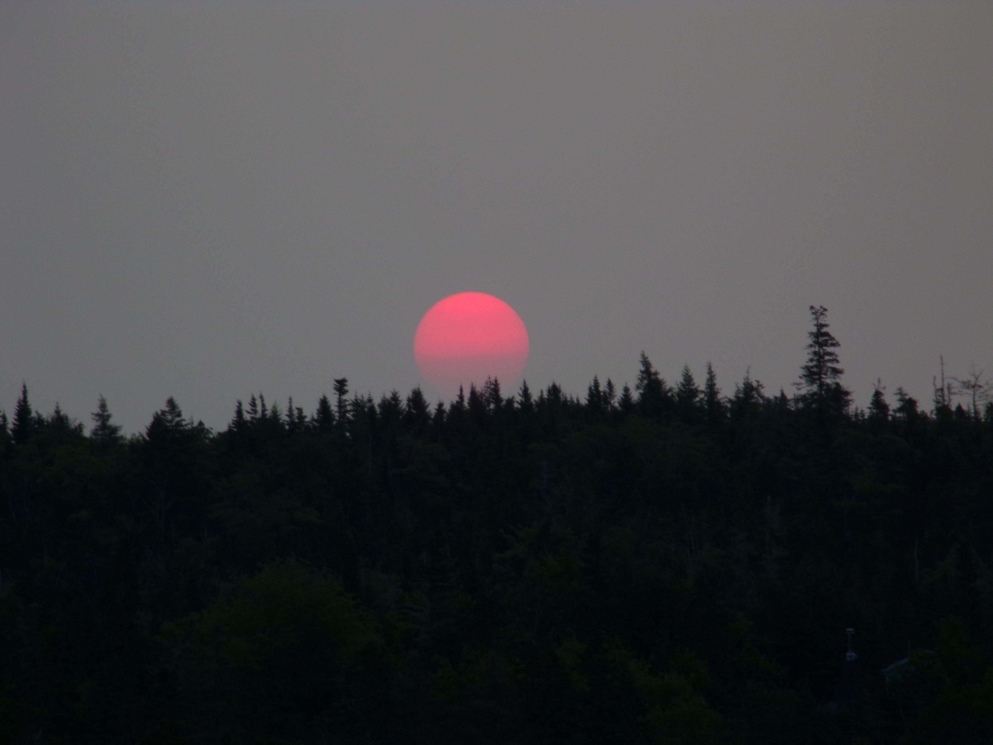 A pink/red ball rising above the treeline on the horizon