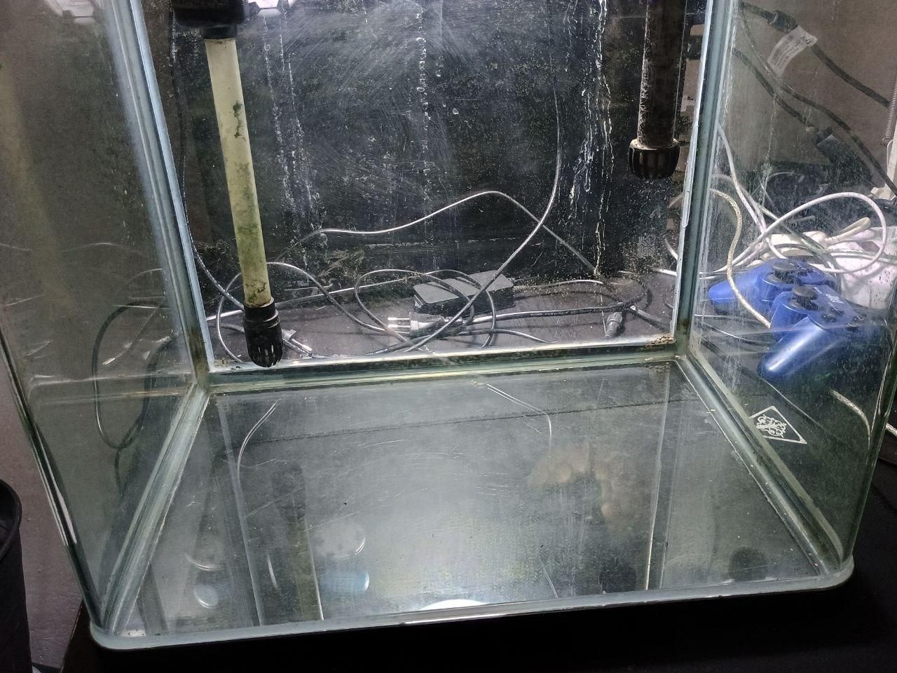 acquario dopo una pulizia superficiale