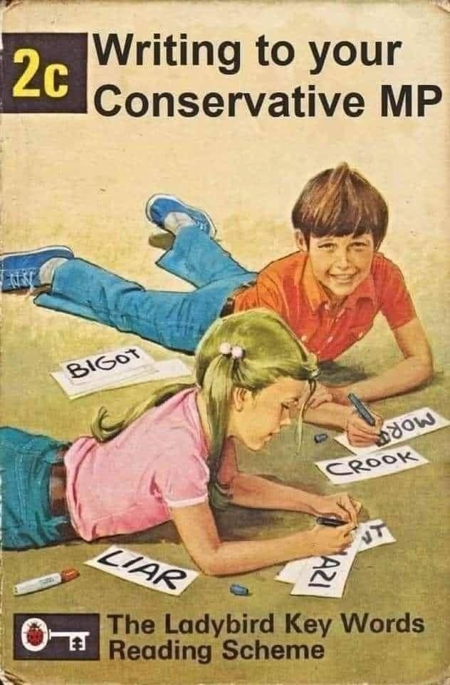 The cover of a lady book with two young children one in a red top and blue trousers and one in a pink top blue bottoms of some description (the edge of the book cuts them off early) set in a yellow background, they are laying down writing the words Liar, Nazi, Crook, Bigot, (what looks to be) Morally Bankrupt and a word ending in the letters NT.
The book that is said to cost 2c
Is called:
Writing to your conservative MP
At the bottom of the book cover a mortice lock key with a lady bird in the handle and the book is said to be part of The Ladybird Key Words Reading Scheme