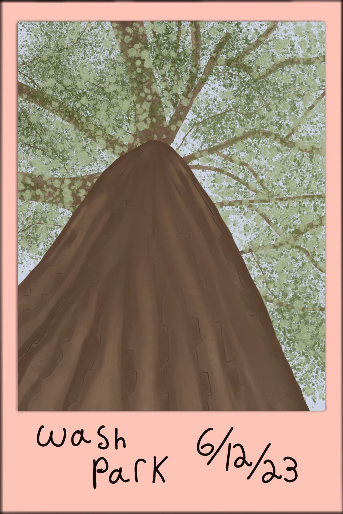 Recreation of a Polaroid photo in Procreate. This drawing is based off a photo I took in Wash Park in Denver. The photo is looking up at the tree canopy from the base of a large oak tree. 