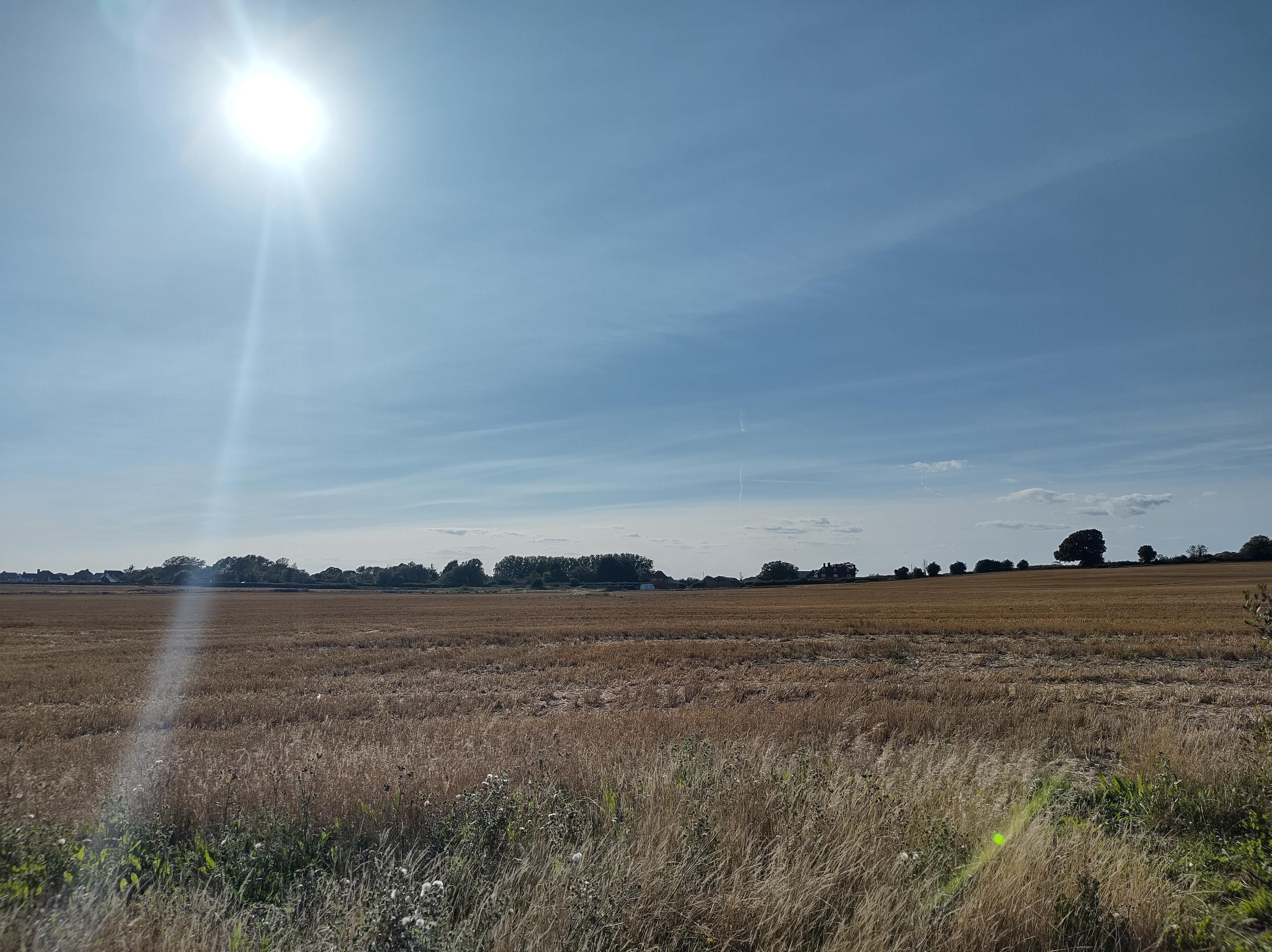 View in Kent across farmland, it's a hot clear, blustery day