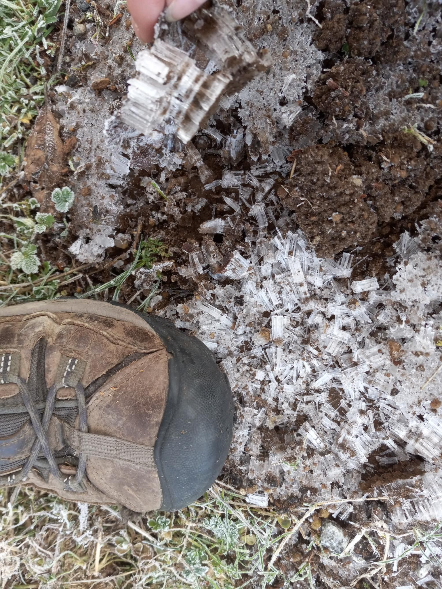 Weird tiny ice crystal pillars that froze out of the ground, and I smooshed with my foot.  They look like a pile of tiny beautiful ice columns next to my boot on the ground.