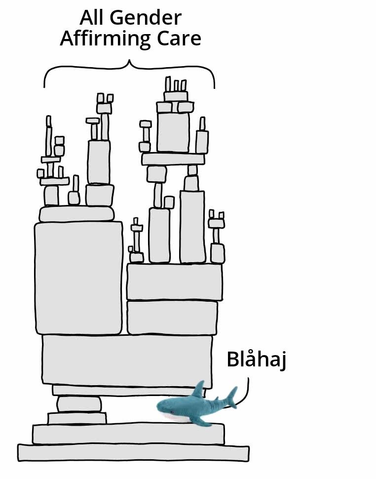 Complex Structure Supported by a Tiny Part meme of a complex structure of shapes supposrted by a tiny part. the complex infrastructure is All Gender Affirming Care and the tiny part is Blåhaj