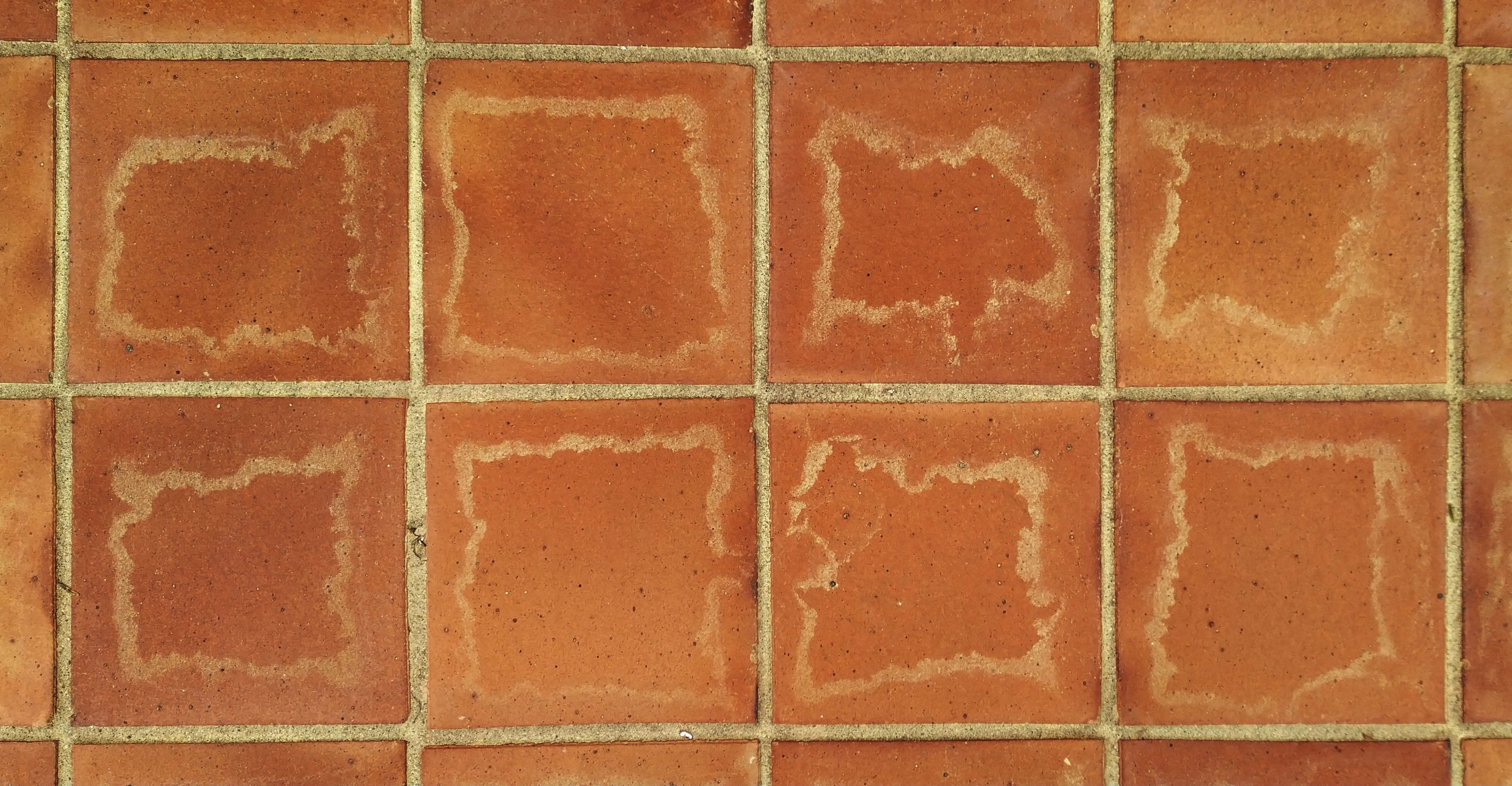 Photo of orange square ceramic tiles, creating a centered grid on the image. On top of each tile, a few centimeters in and aligned with the borders, there are rough yellow lines, aprox 1 cm wide, forming organic looking squares, some more irregular than others. That's what's made of pollen.
