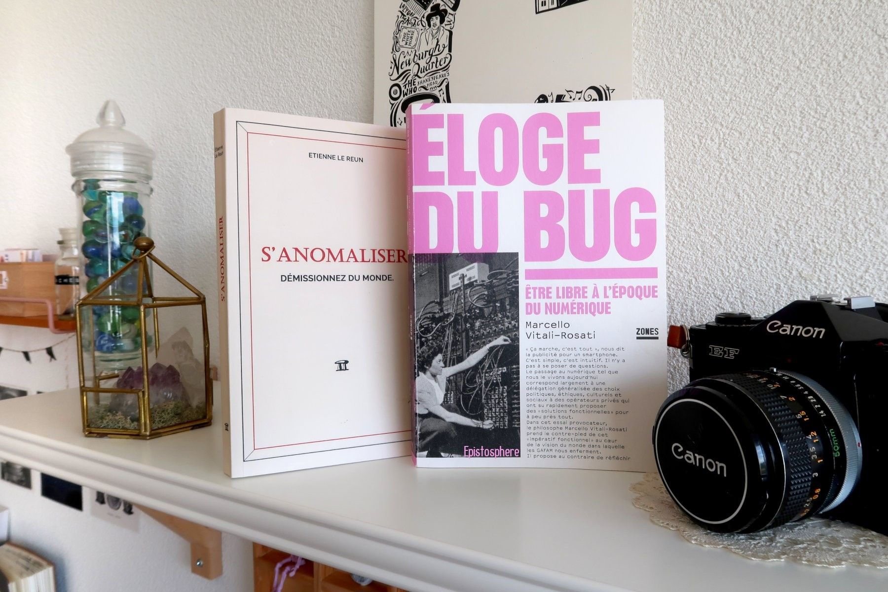 2 livres posés sur une étagère à côté d'un ancien appareil photo Canon et d'une jar remplie de billes 