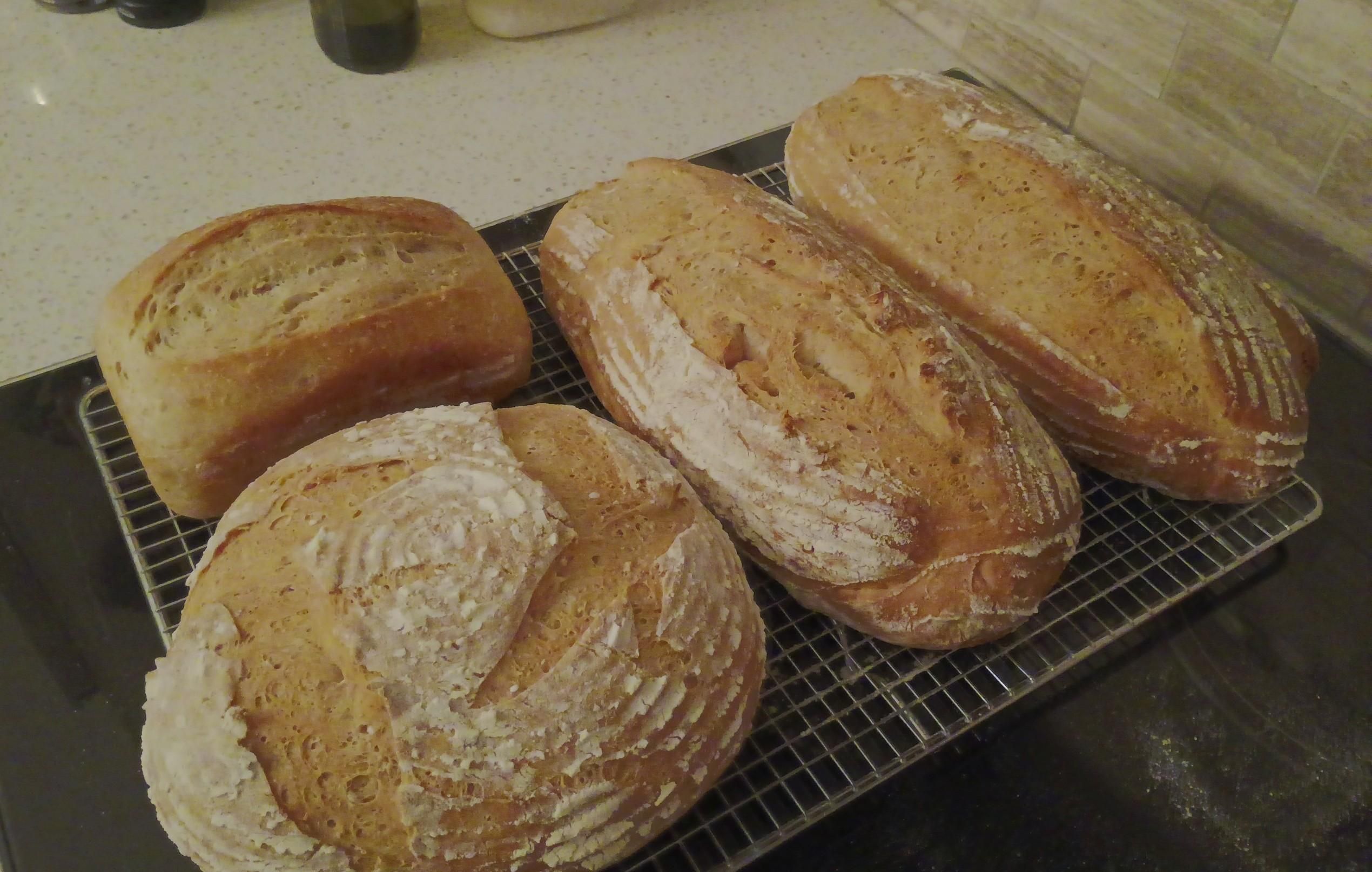 Four loaves of bread are cooling. Two oblong loaves, a round one and a little loaf-pan loaf.