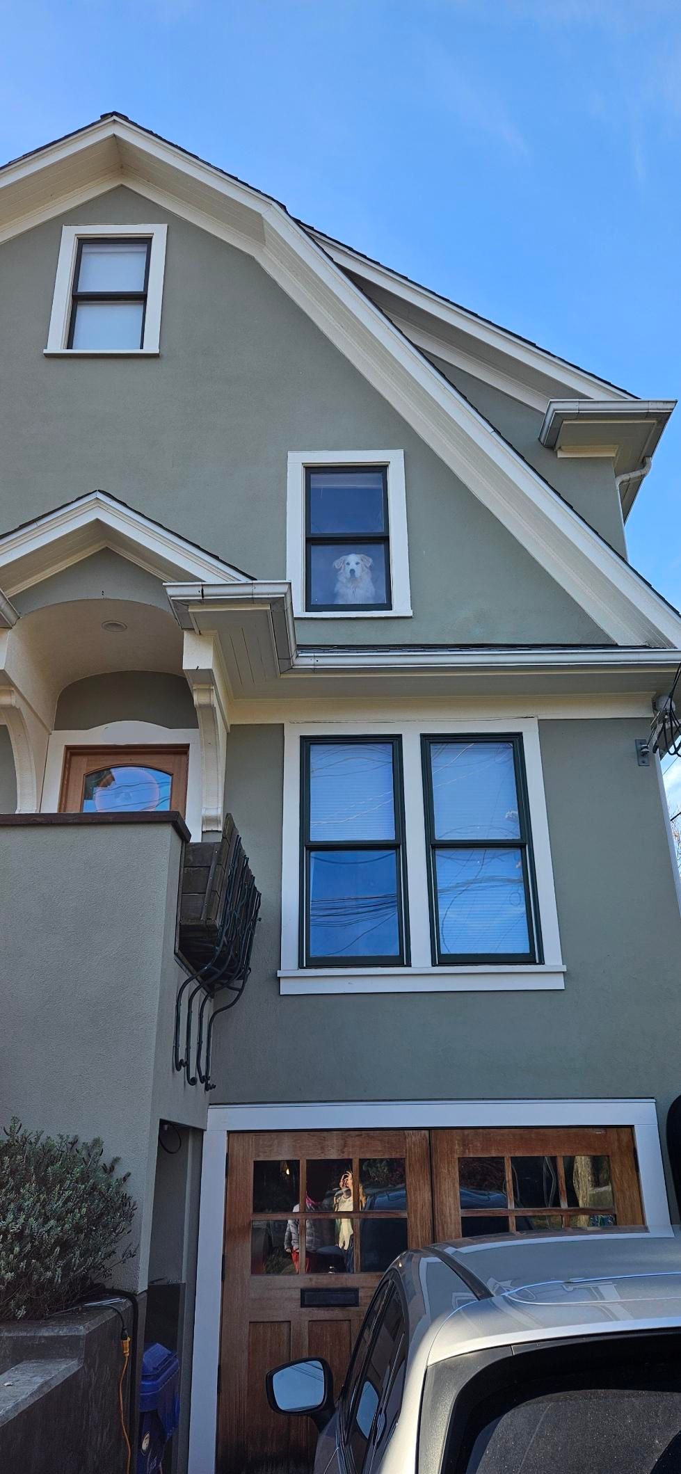 Picture of a house. In a window is a white dog looking out at the camera.
