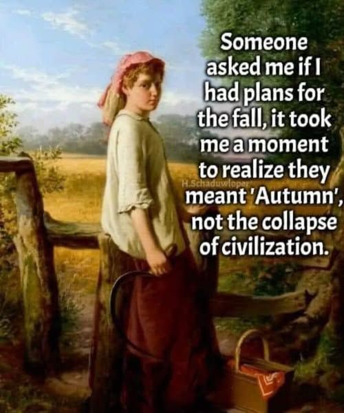 Someone asked me if I had Plans for the fall, it tool  me a moment to realize they meant 'Autumn’, and not the collapse of civilisation.