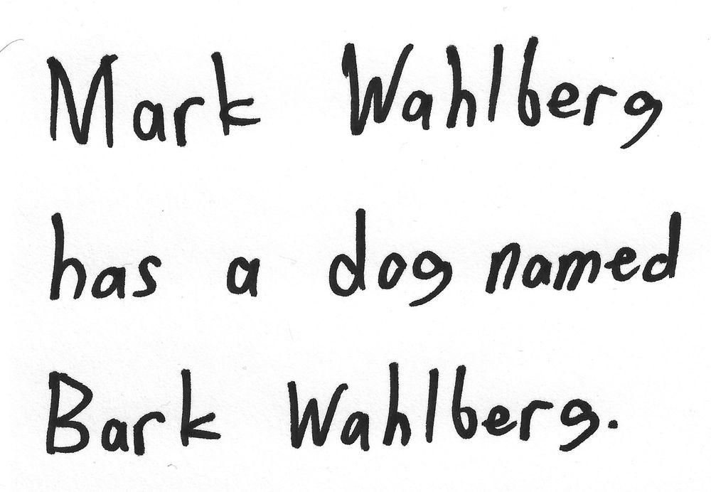 Mark Wahlberg
has a dog named
Bark wahlberg.