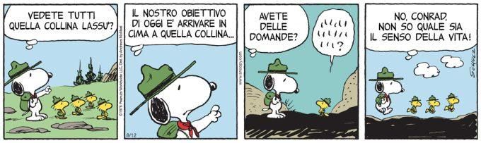 Immagine relativa all'articolo