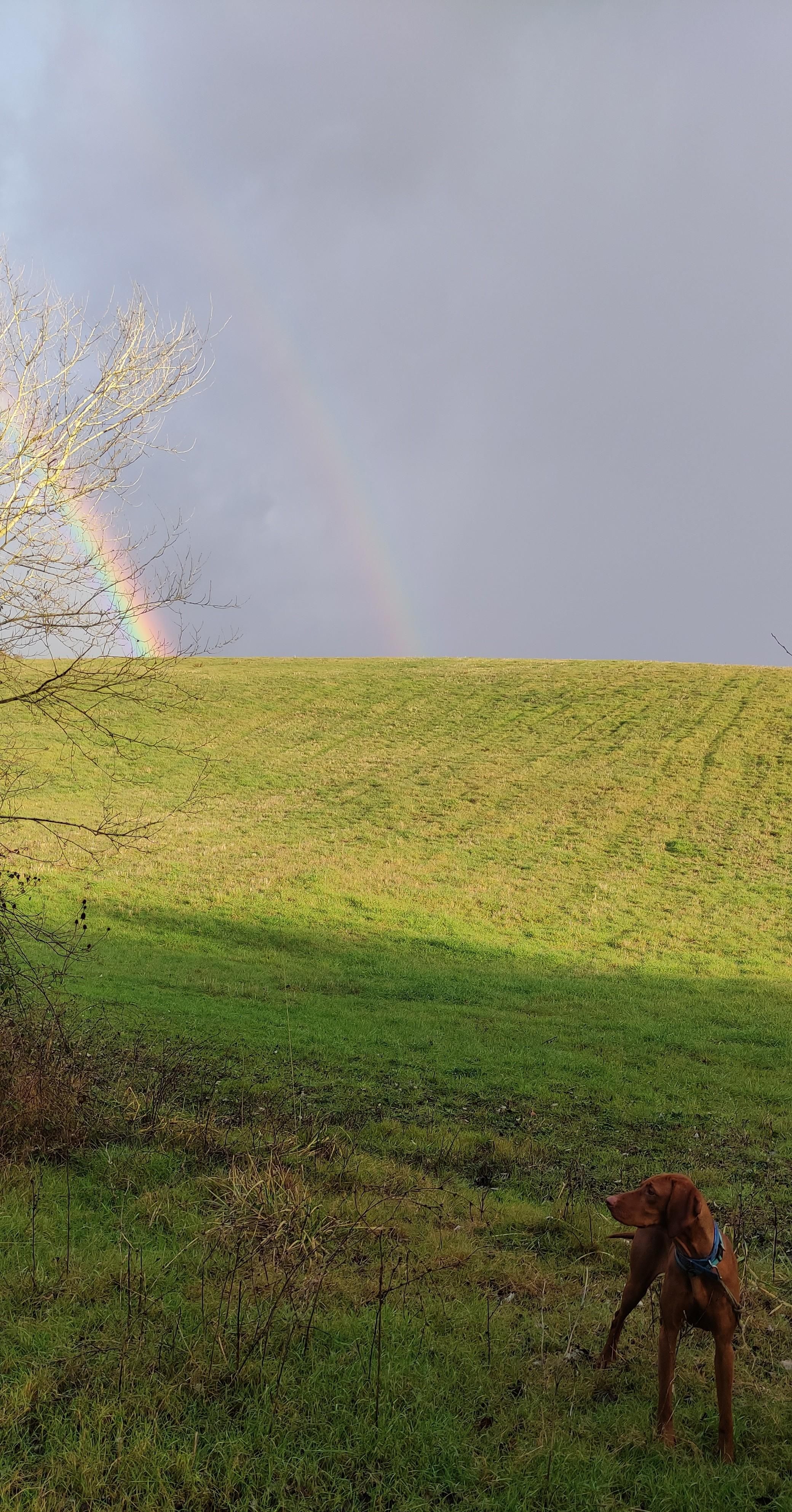 Ecco in primo piano, in basso a dx, dietro piagge erbose sulle quali si appoggia un arcobaleno 