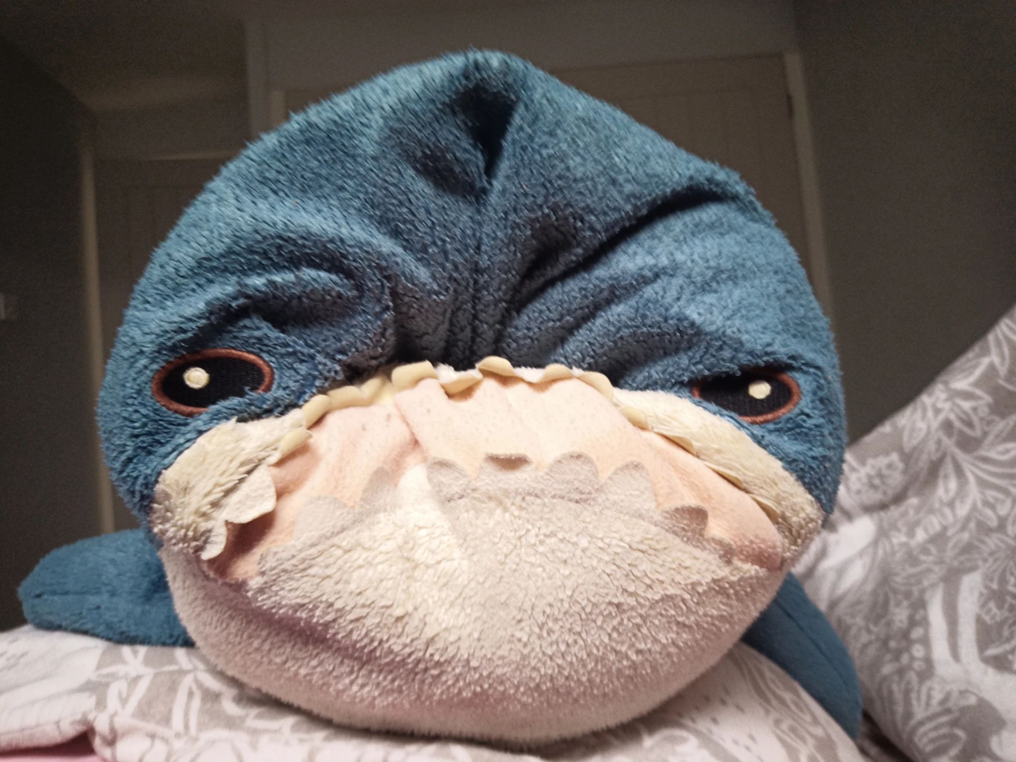 the same blahaj with their face pushed in, looking very pug-esque