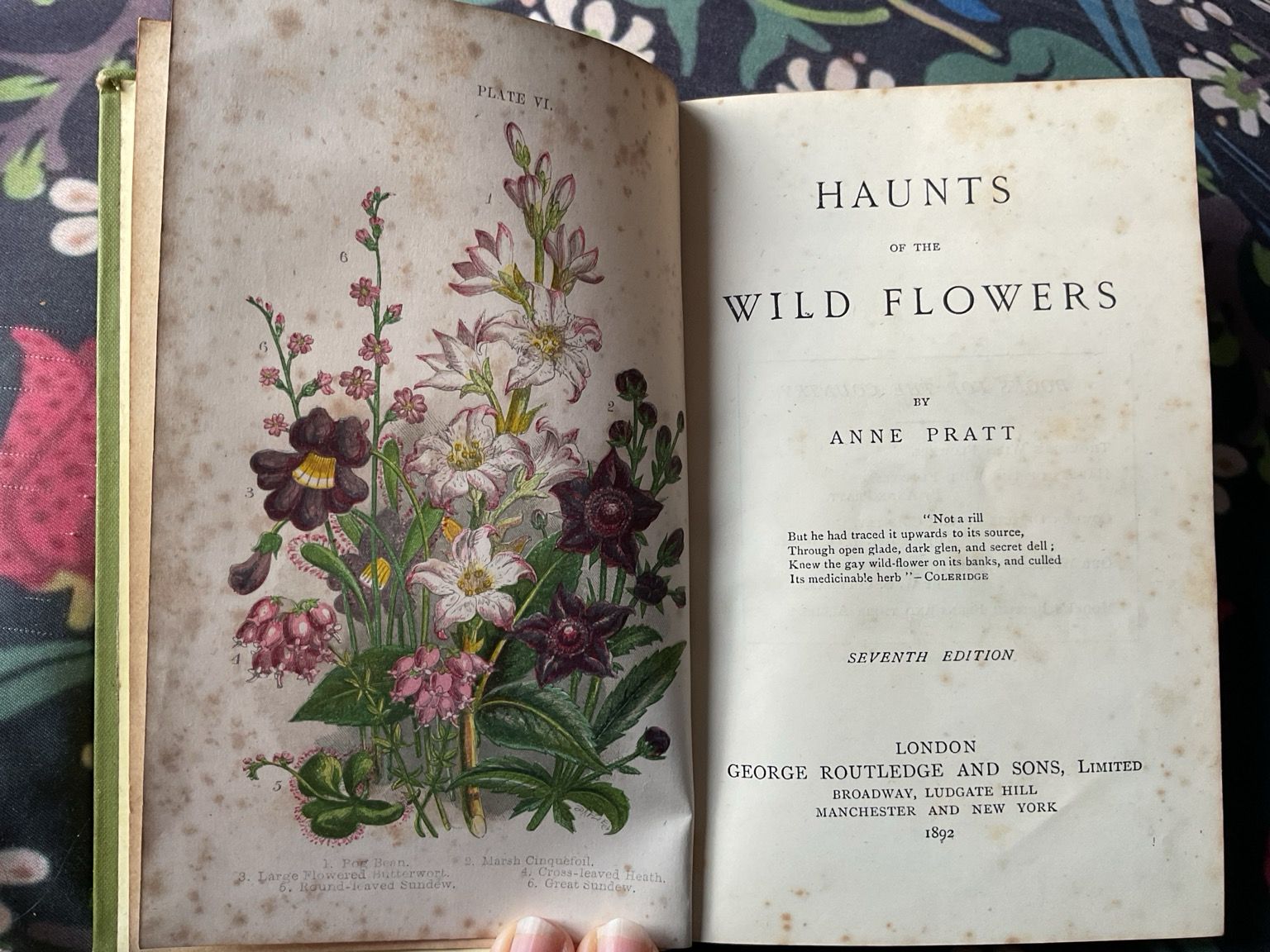 Book open at frontispiece the haunts of wild flowers, by Anne Pratt.