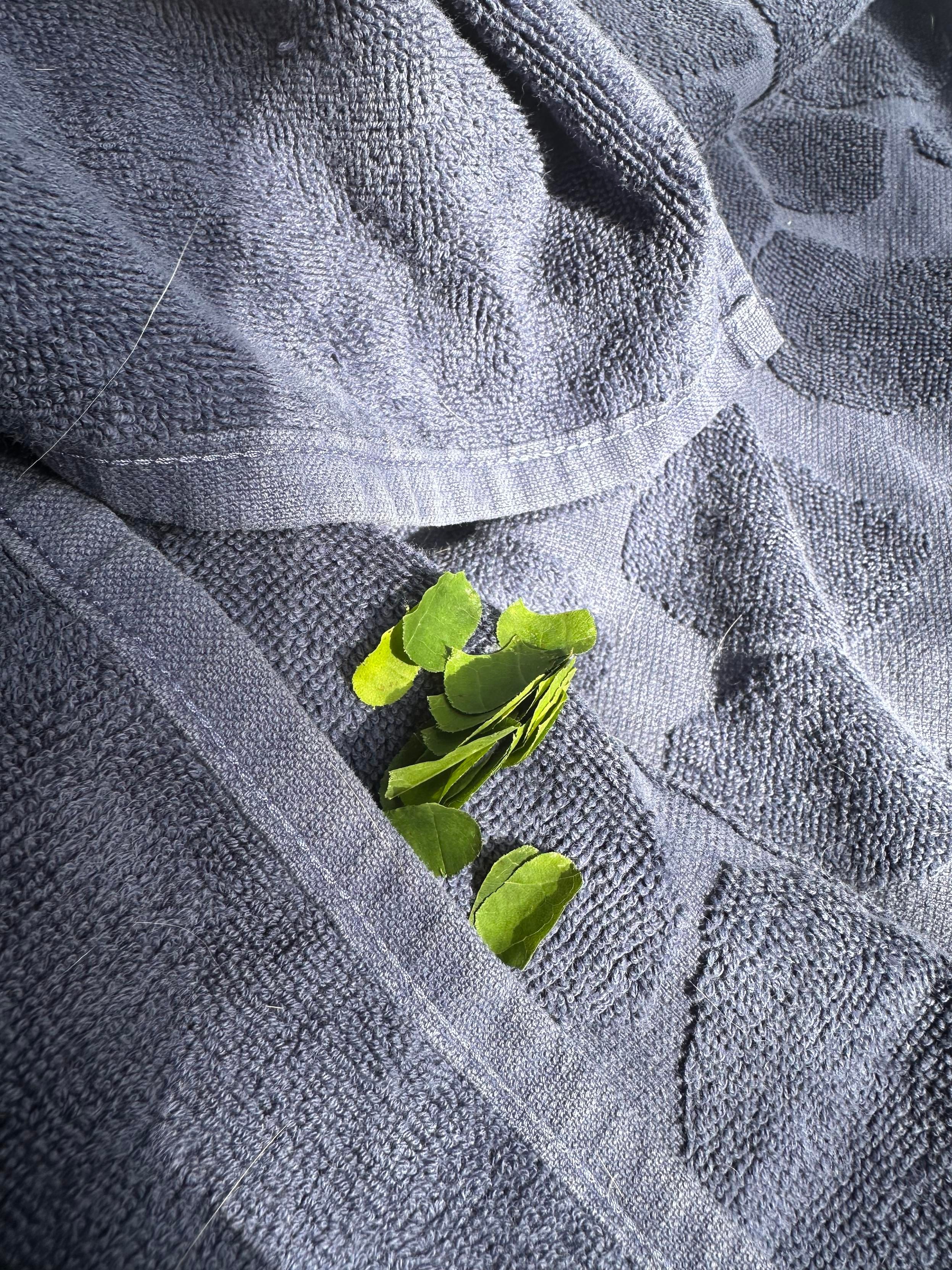 Pyyhe, jonka laskoksien välistä pursuaa pieniä vihreitä lehtiä