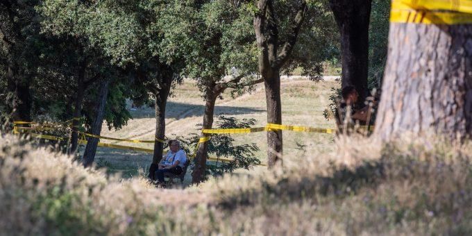 Immagine relativa all'articolo