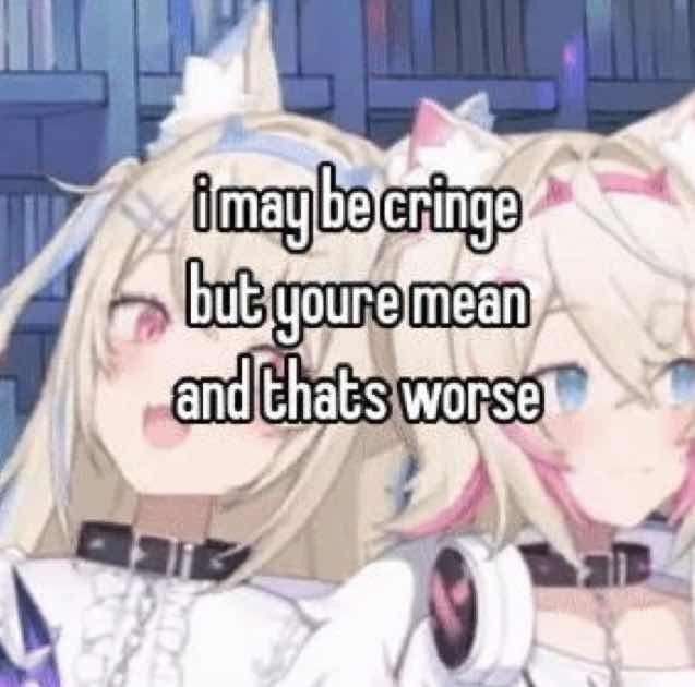 i may be cringe but youre mean and thats worse, the background is a picture of the vtubers fuwawa and mococo being silly
