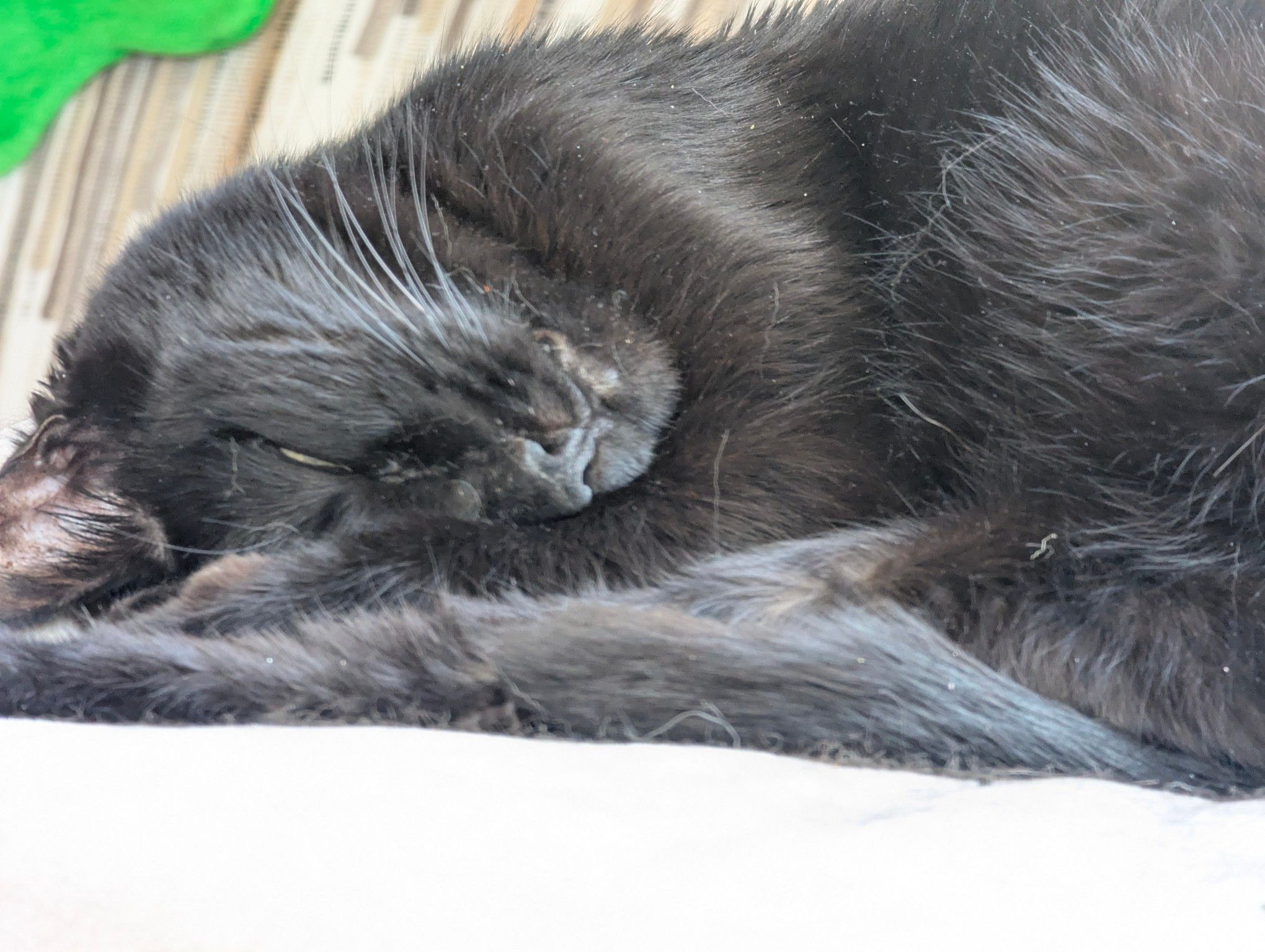 Not worth waking up for, back to sleep.