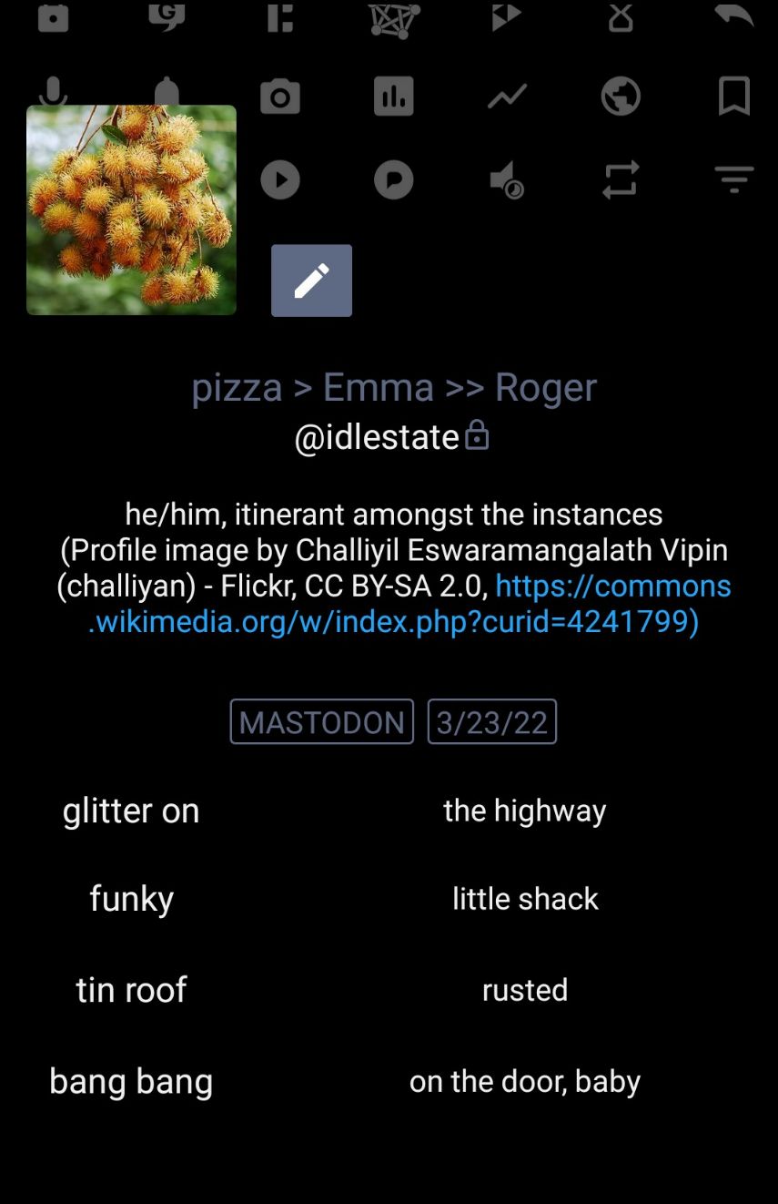Portrait-oriented screenshot of my previous profile page from a mobile app, with a picture of a cluster of yellow rambutans, the truncated credit URL for the photo, and 4 key-value pairs taken from the song "Love Shack": glitter, on the highway; funky, little shack; tin roof, rusted; bang bang, on the door\, baby.
