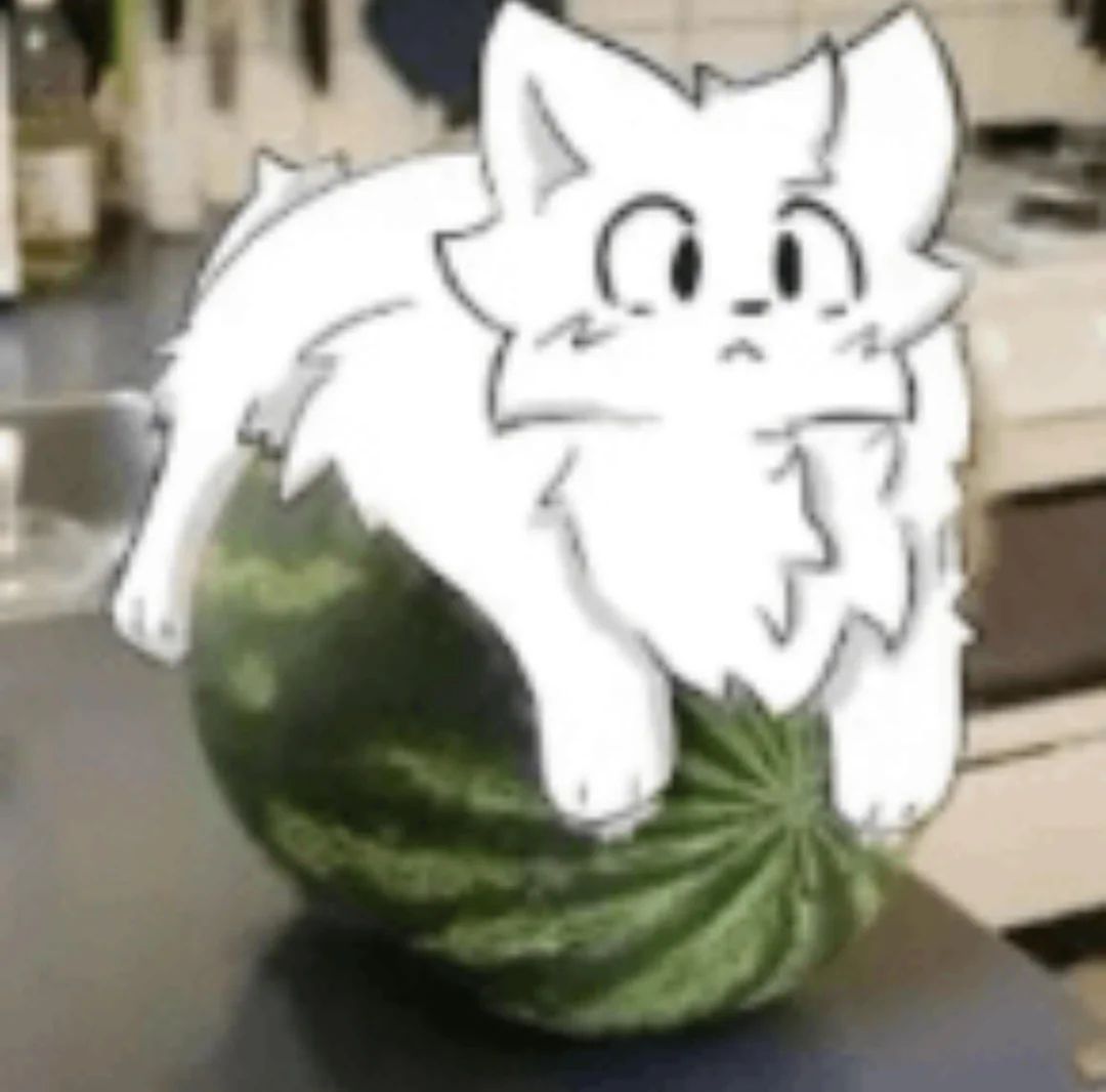 Boykisser sitting on a watermelon.