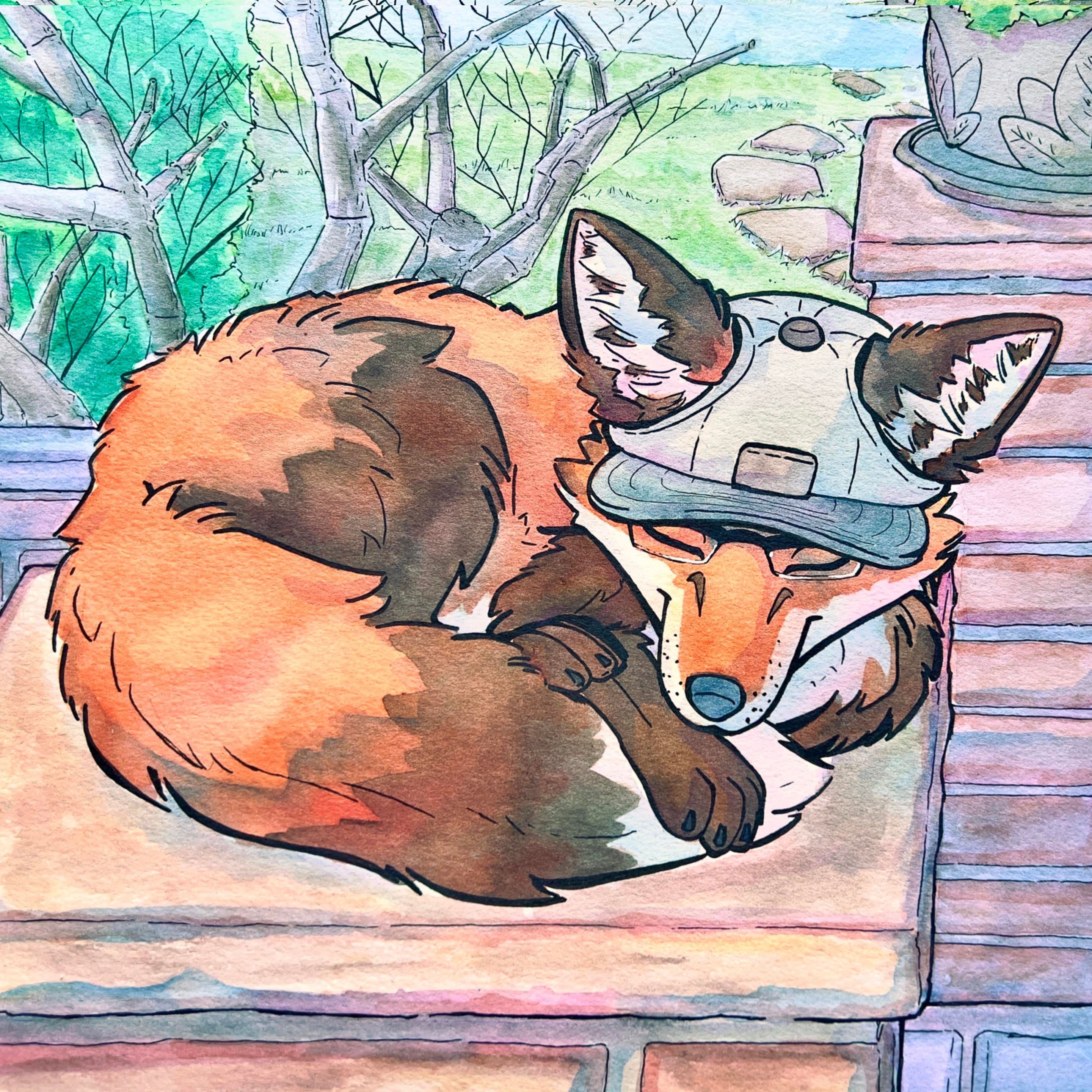 A watercolor painting of a red fox wearing a basecap and glasses snoozing ontop of a brickwall in the sun.