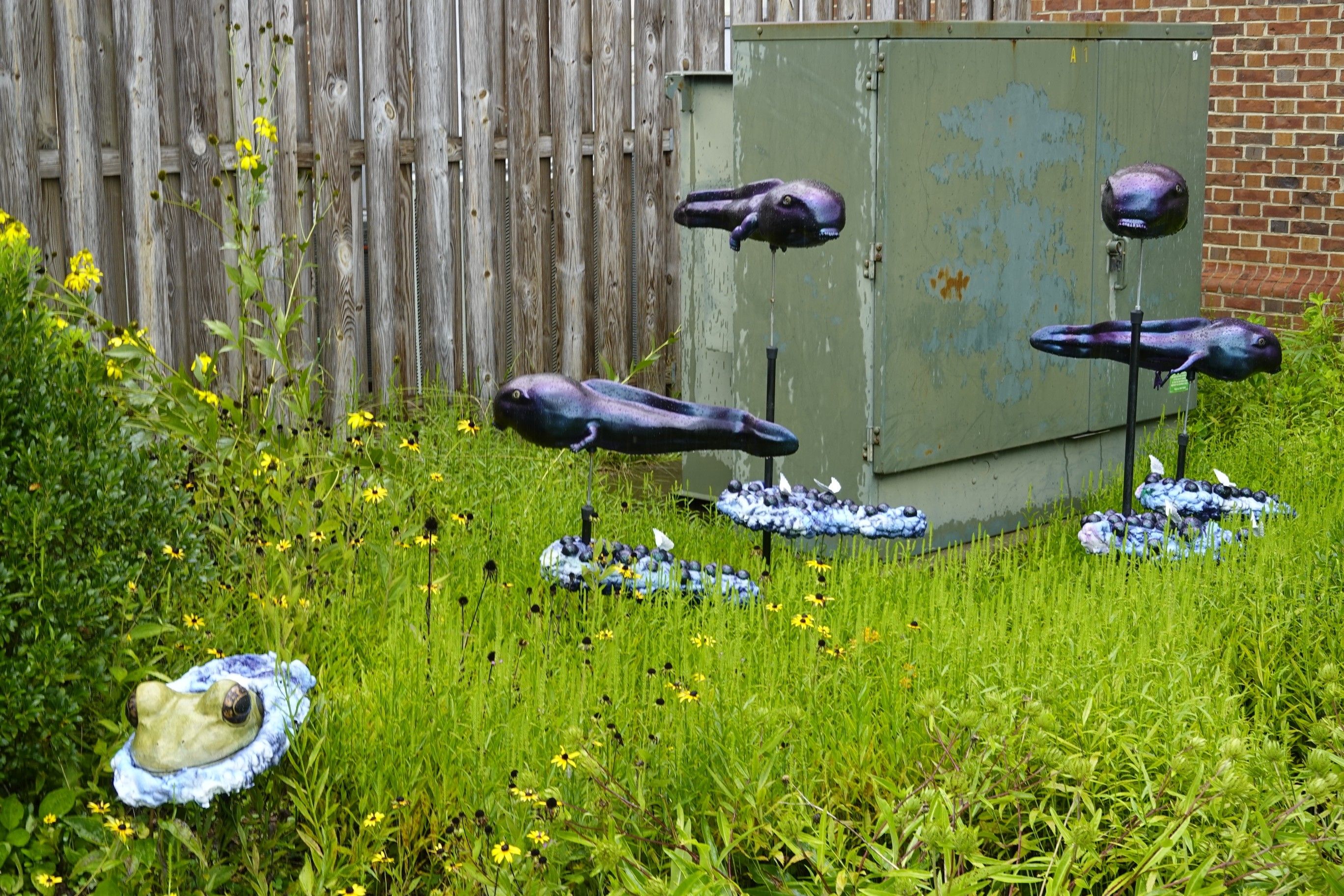 "Polliwogs Dreams" by Belinda Gabryl