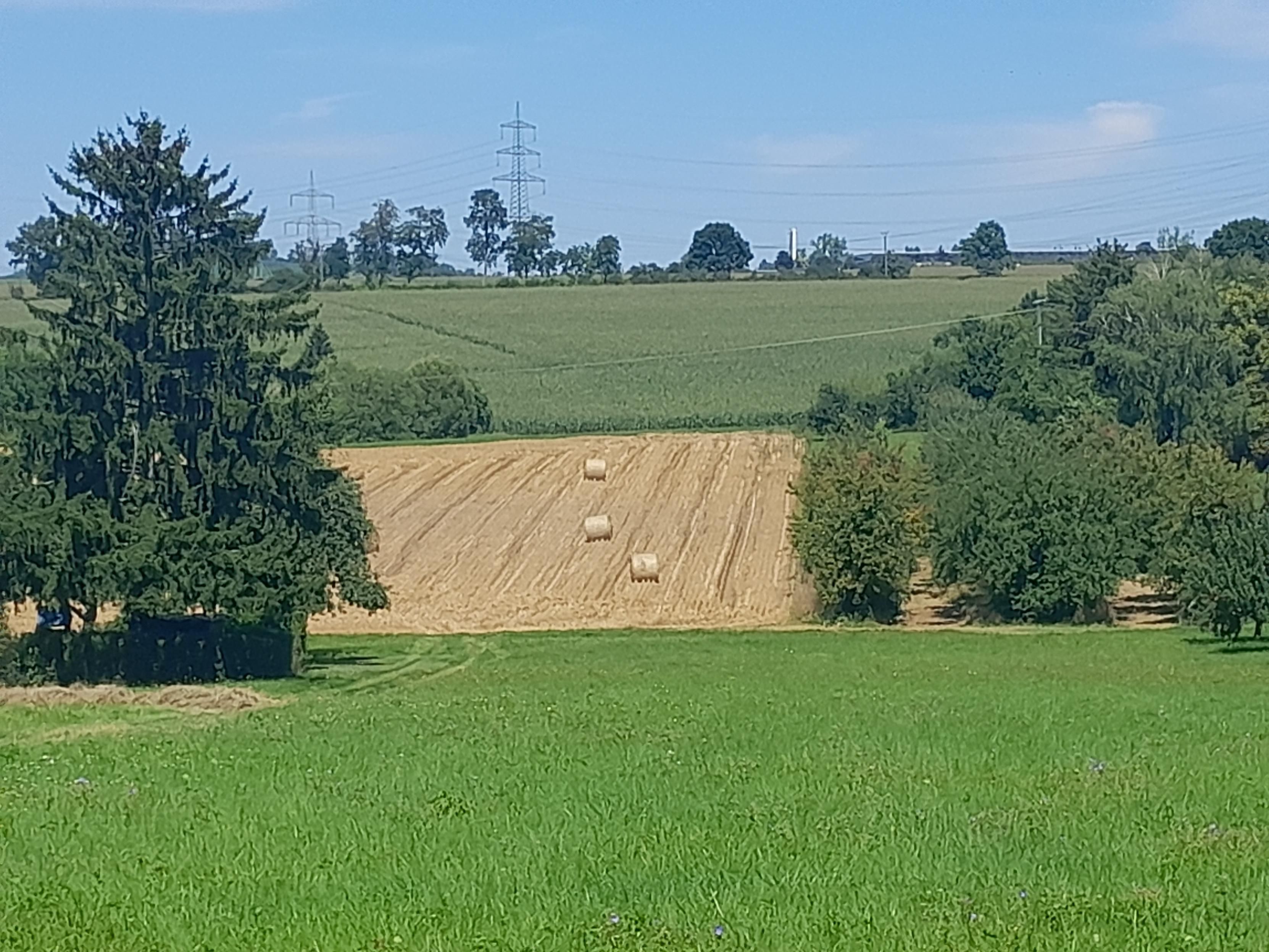 Blick in eine hügelige Landschaft aus Wiesen, Felder, Bäumen und Sträuchern sowie in der Mitte ein geerntetes Getreidefeld mit großen Strohrollen.