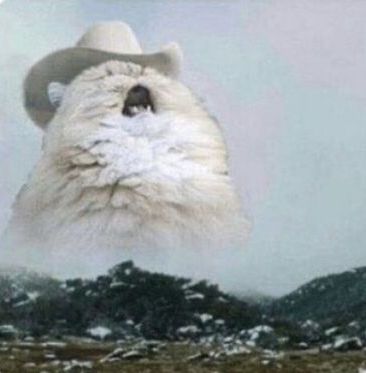 Real life counterpart of last image's redraw