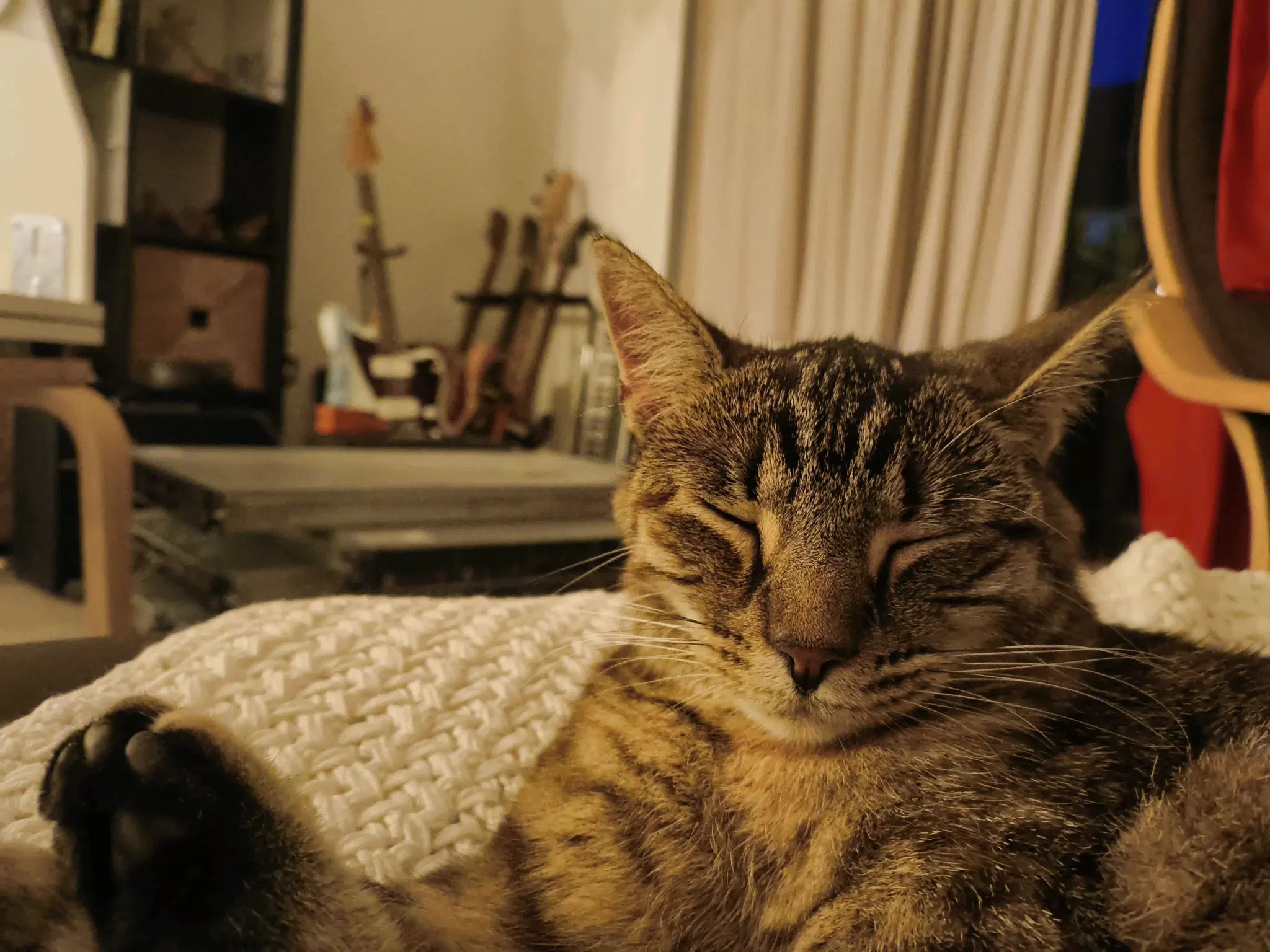 tofu sleeping in front or servers (???)