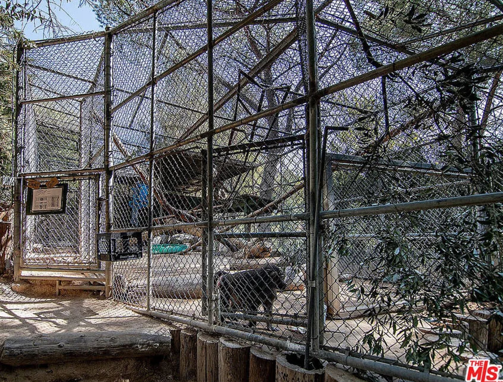 A baboon enclosure made of chain link fencing, with a baboon inside. 
